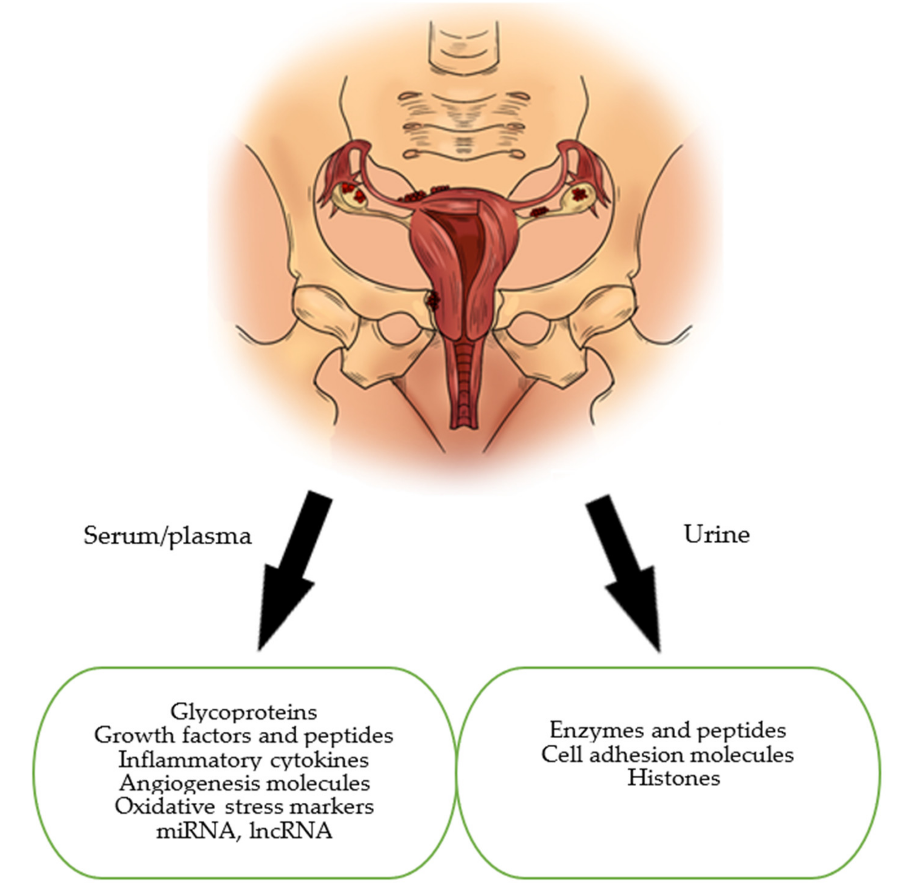 Jcm 10 02762 g001 Jcm 10 02762 g001