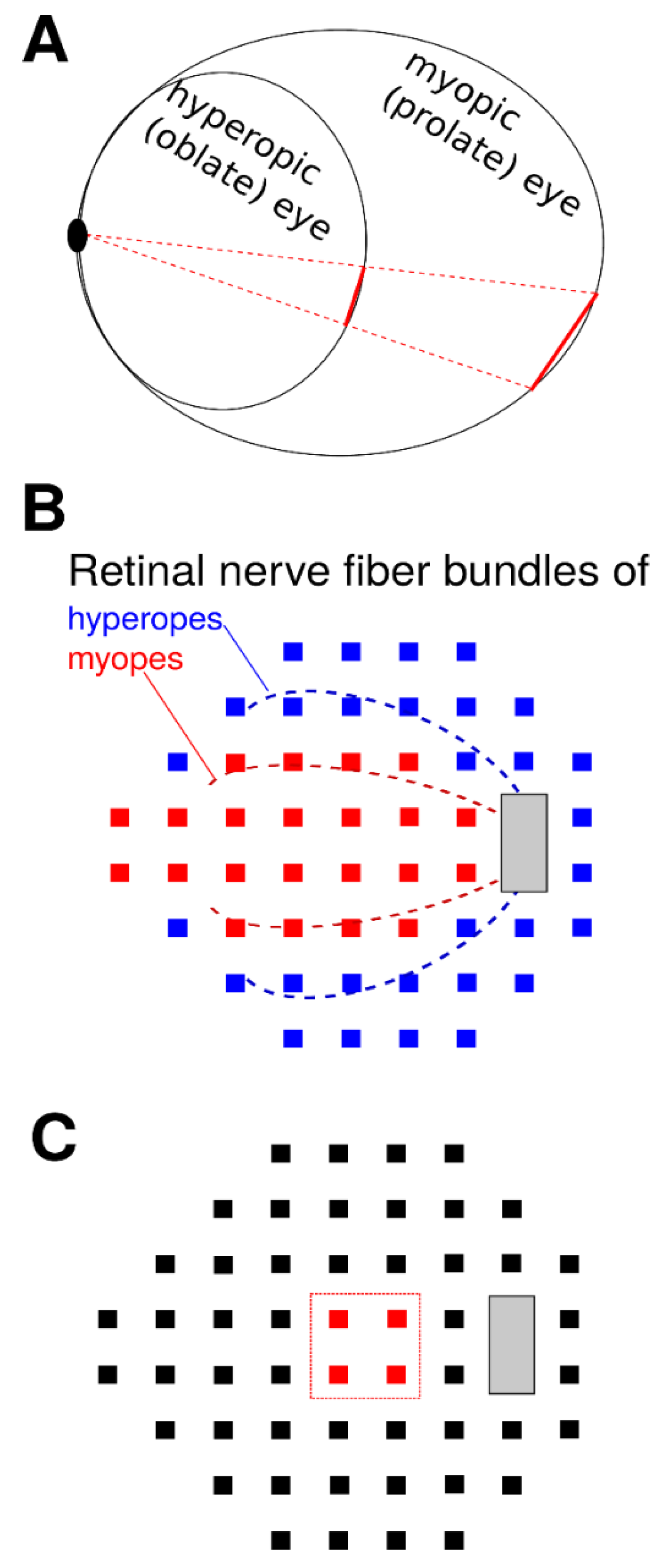 Jcm 10 02796 g001 Jcm 10 02796 g001