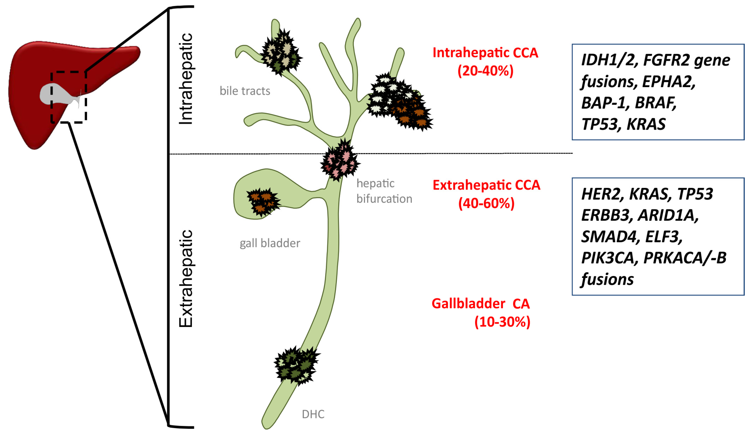 Jcm 10 02803 g001 550