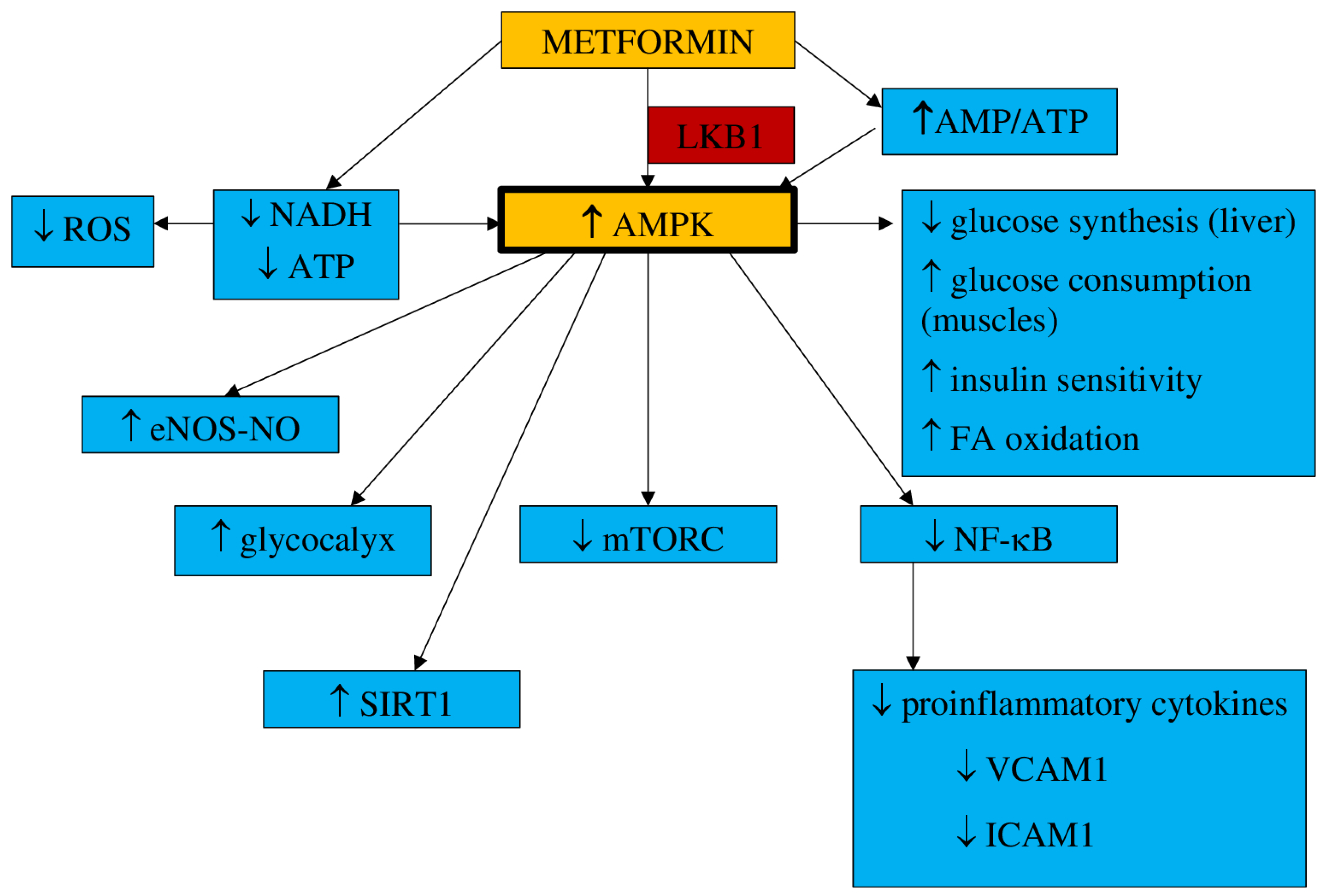 Jcm 10 02805 g001 Jcm 10 02805 g001