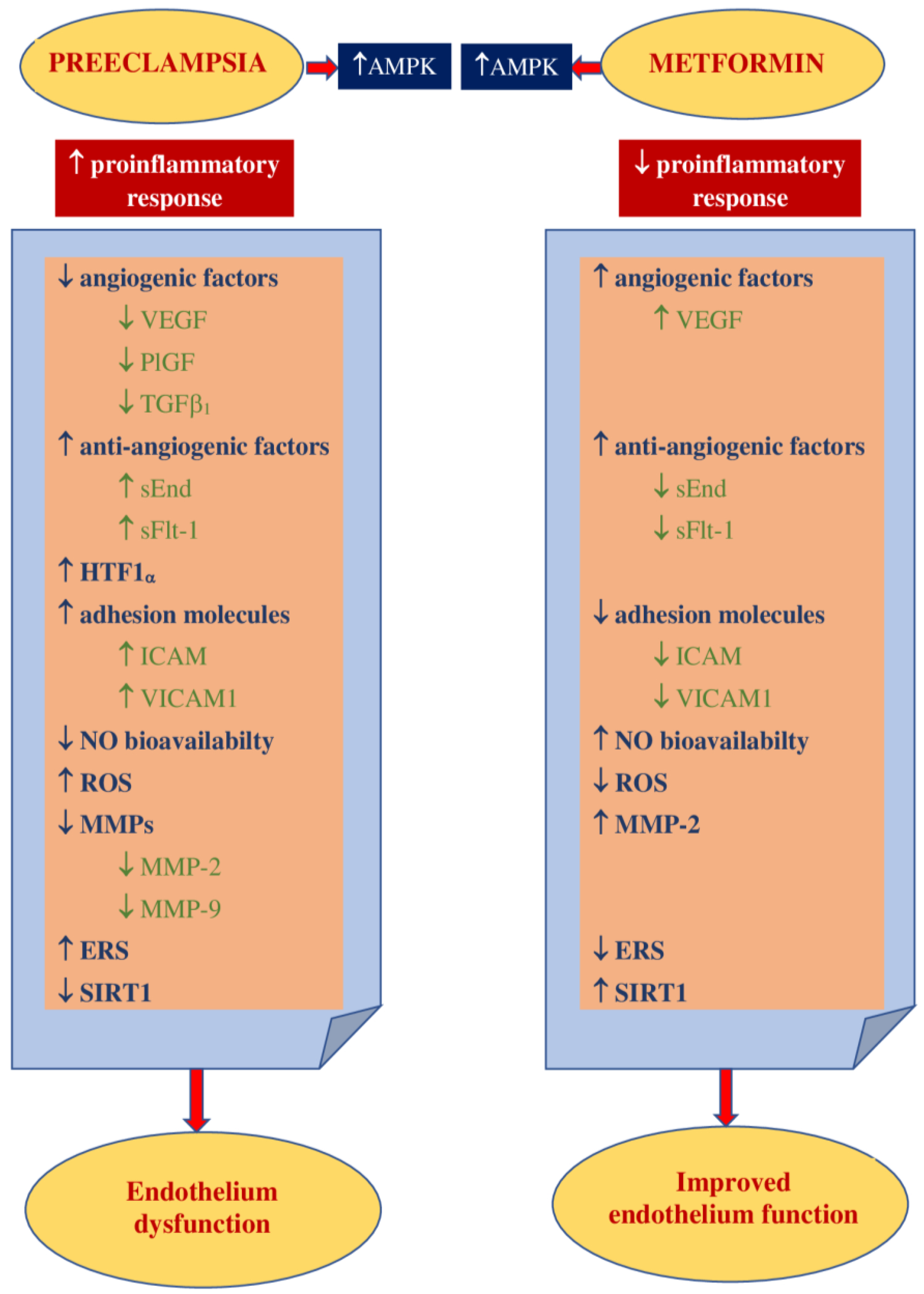 Jcm 10 02805 g002 Jcm 10 02805 g002