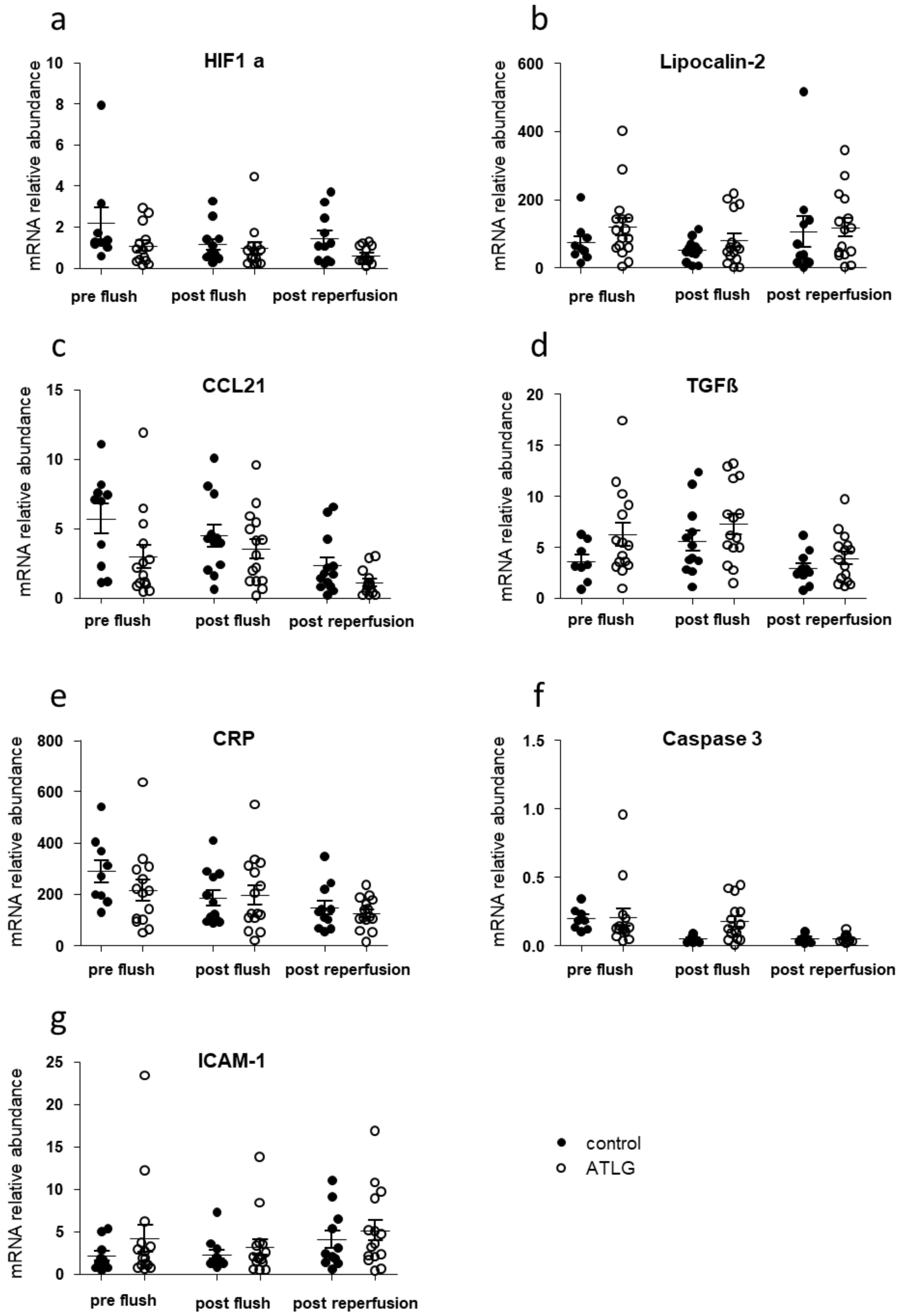 Jcm 10 02816 g003 Jcm 10 02816 g003