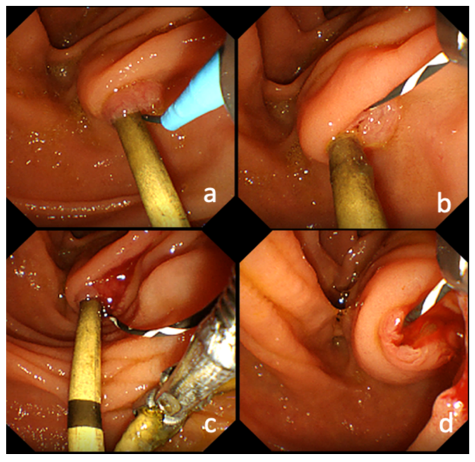 Jcm 10 02858 g001 550