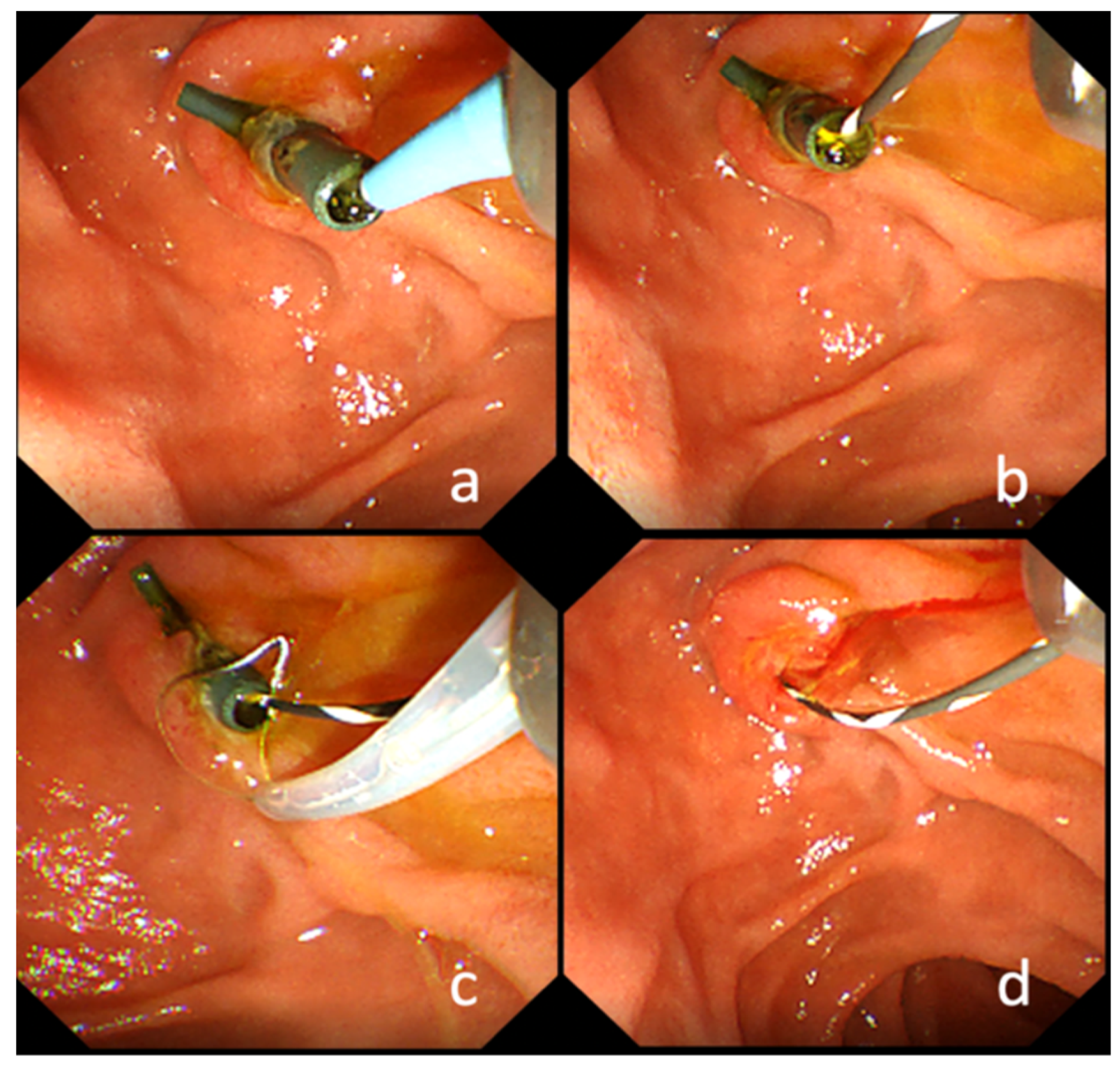 Jcm 10 02858 g002 550