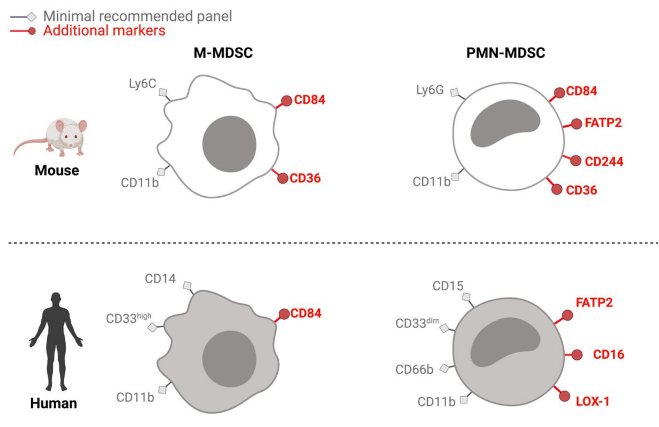 Jcm 10 02872 g001