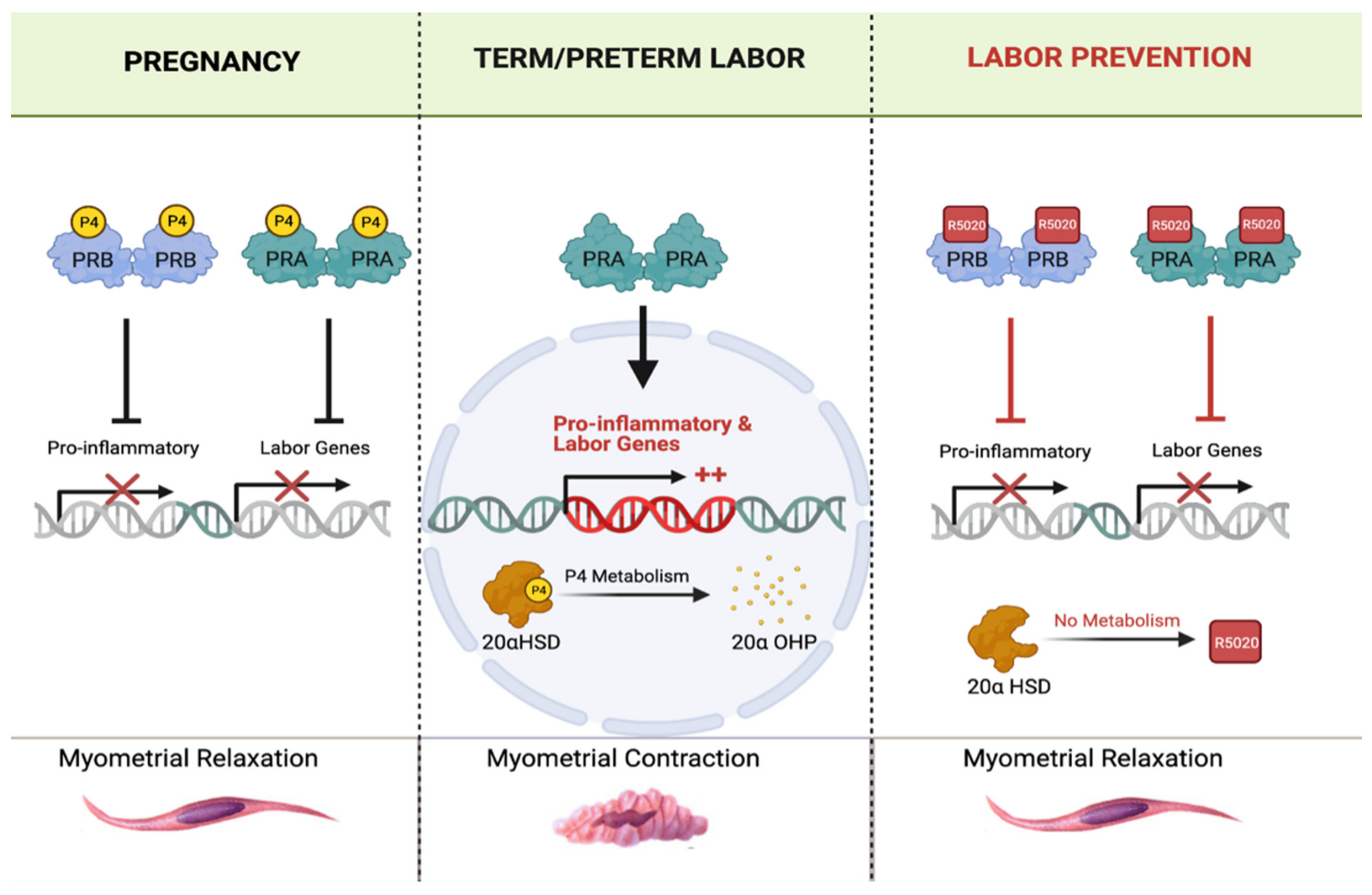 Jcm 10 02912 g001 Jcm 10 02912 g001