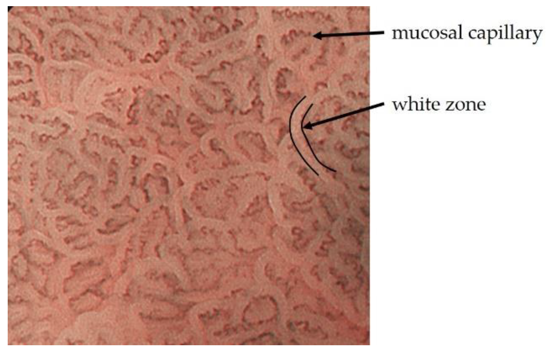 Jcm 10 02918 g001 550