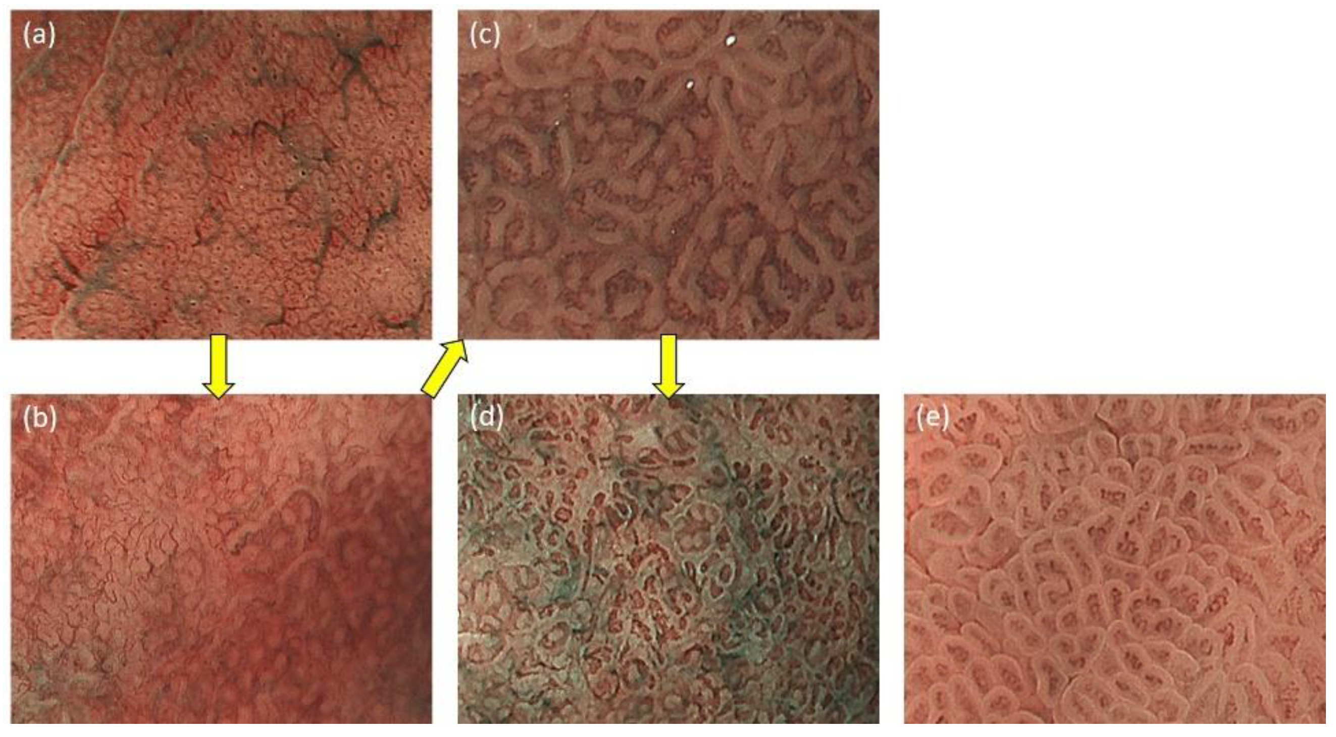 Jcm 10 02918 g002 550