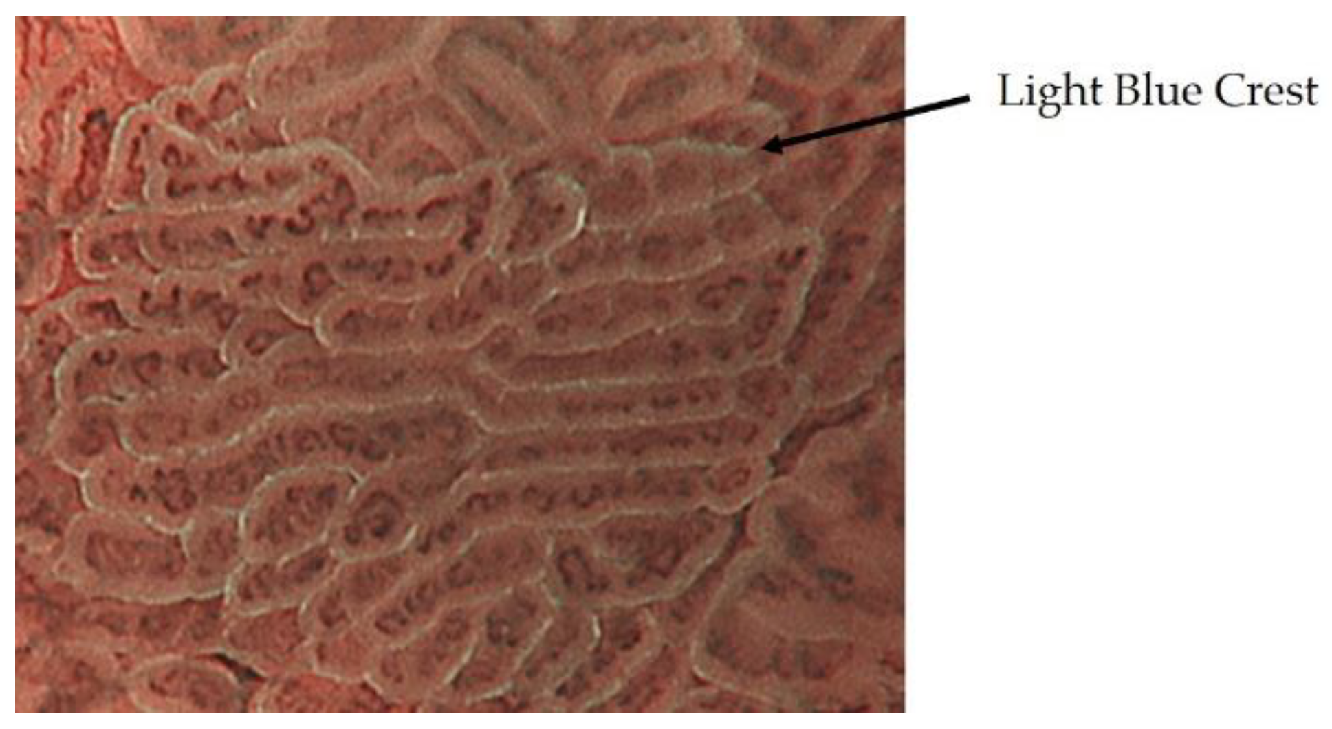 Jcm 10 02918 g003 550