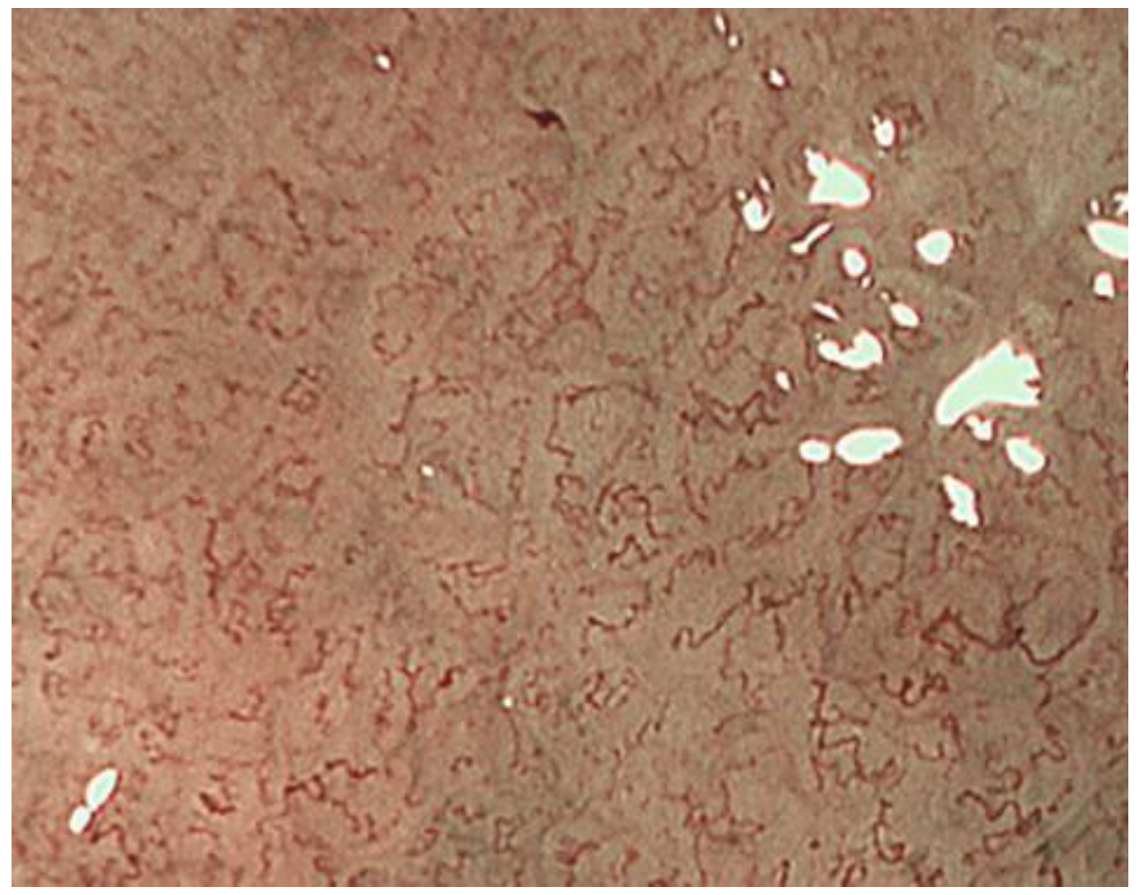 Jcm 10 02918 g009 550