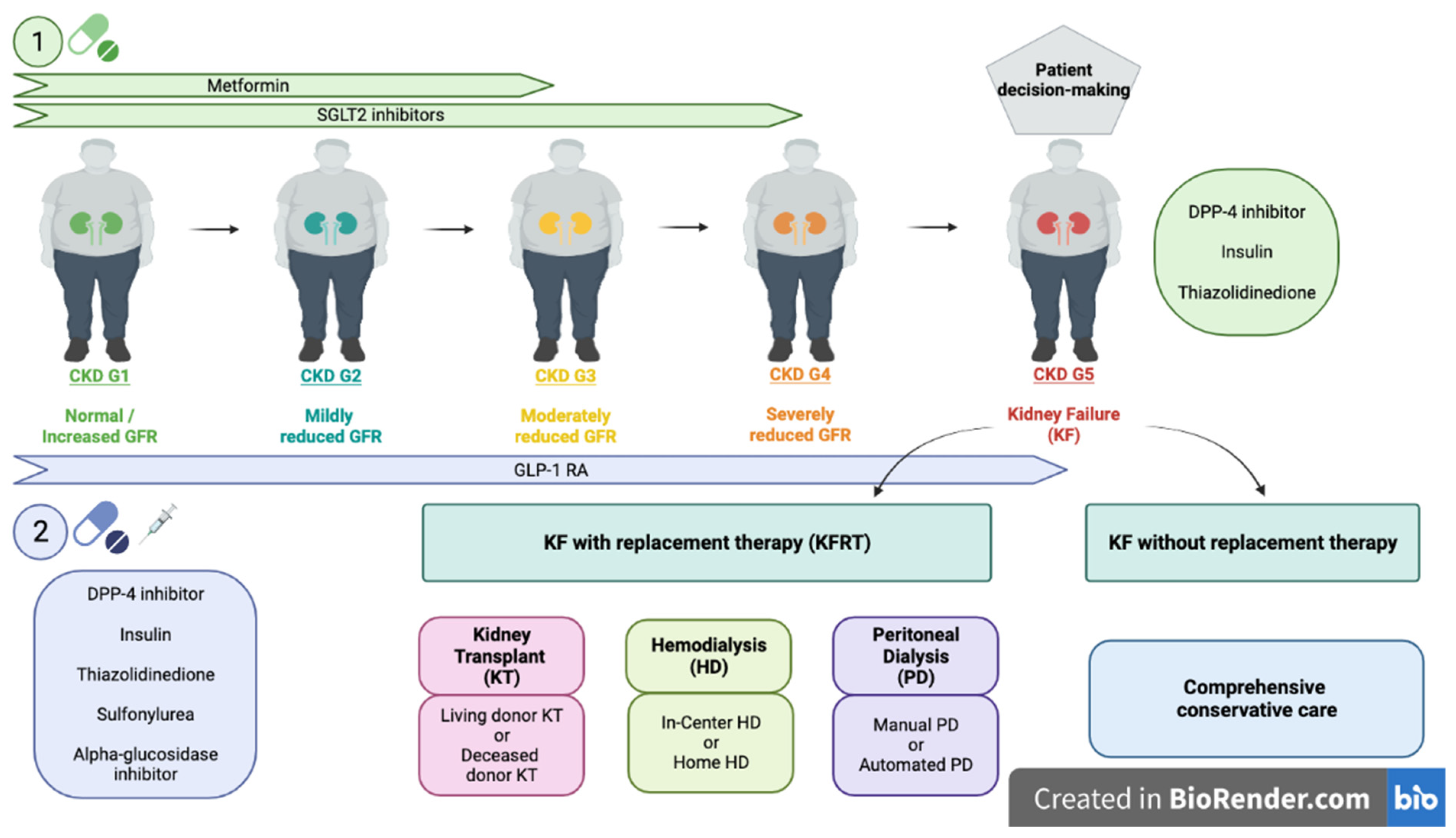 diabetes and ckd coding guidelines 2021 diabétesz kezelésére posnor