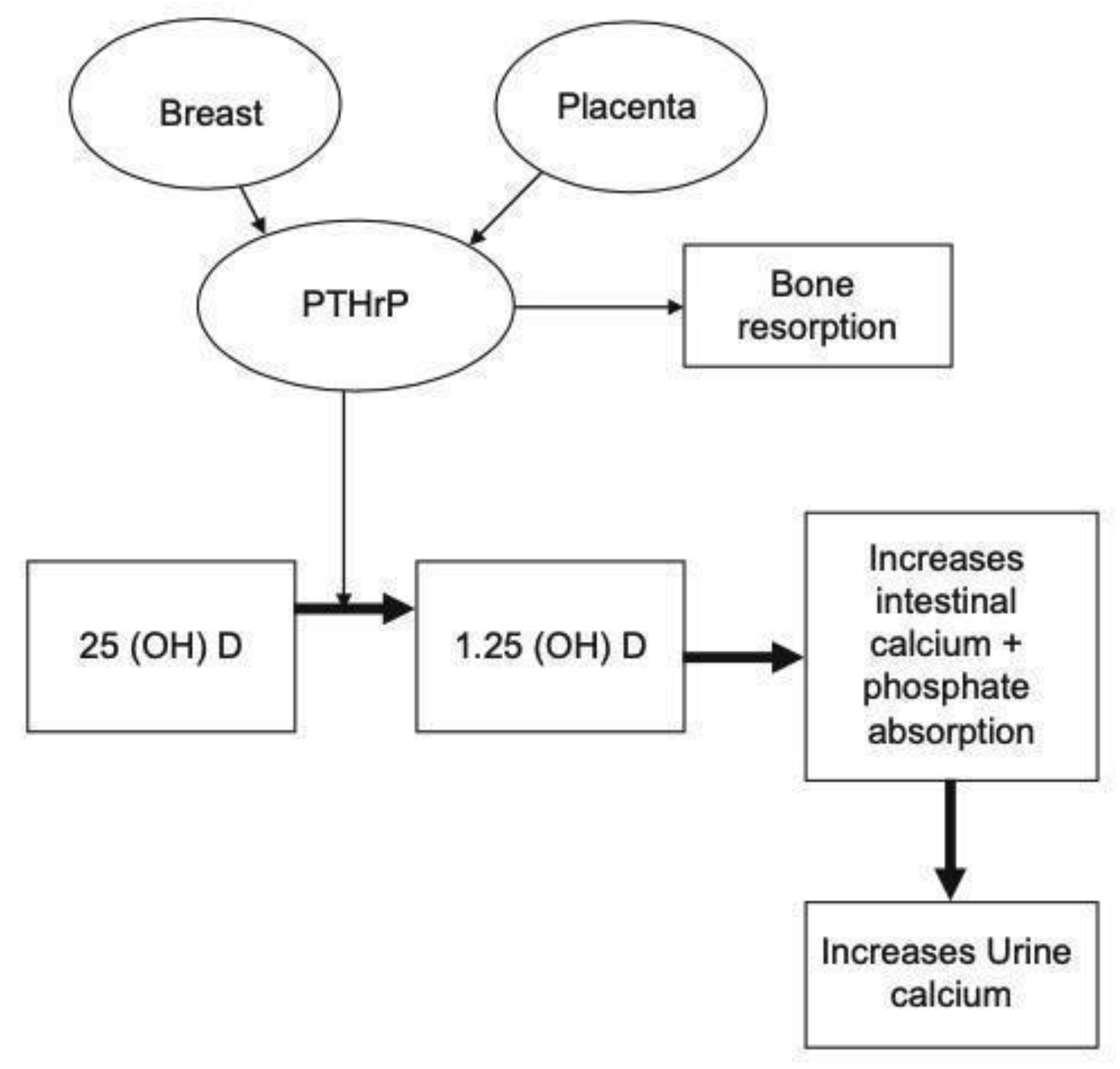 Jcm 10 02956 g001 Jcm 10 02956 g001