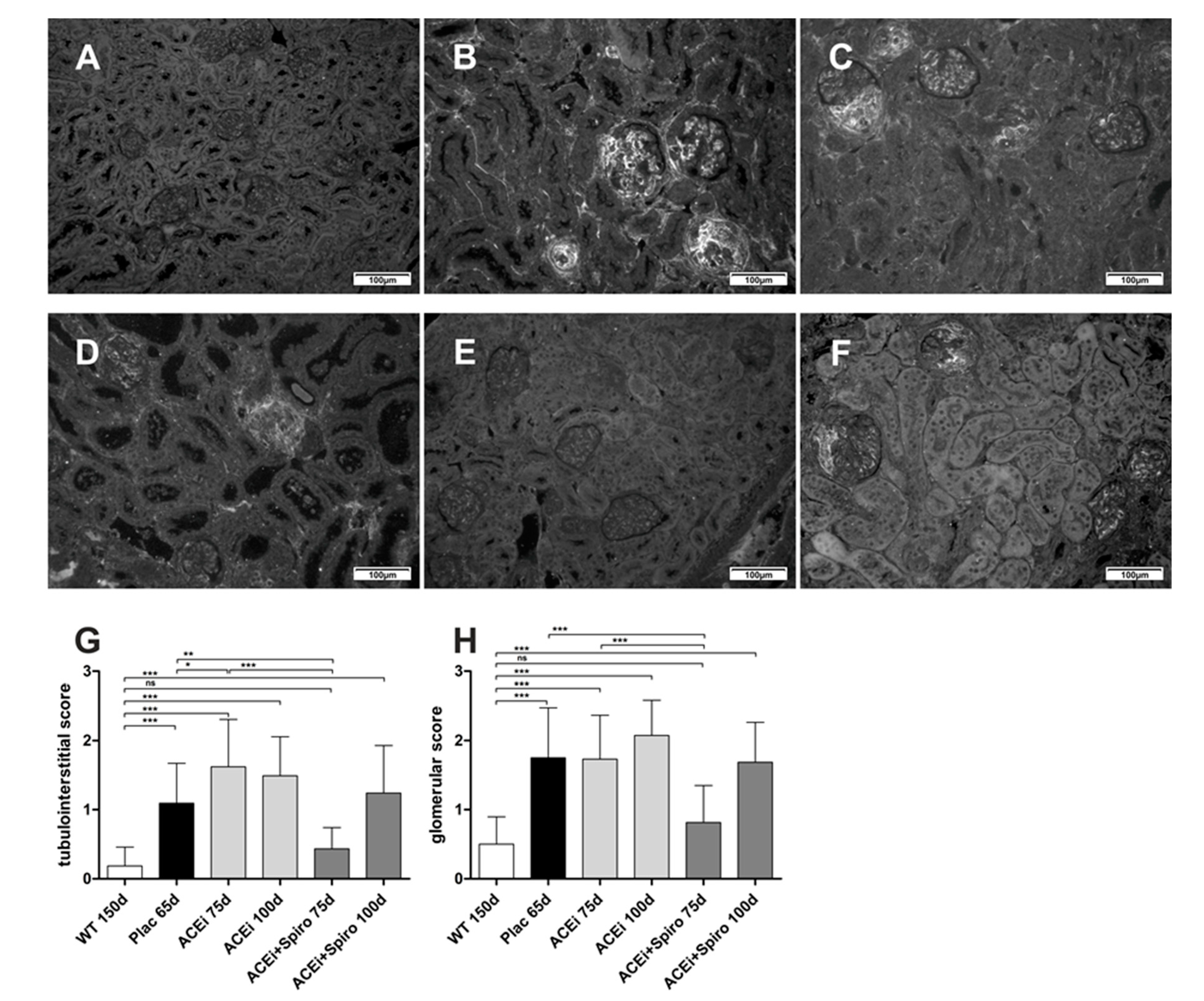 Jcm 10 02958 g004 Jcm 10 02958 g004