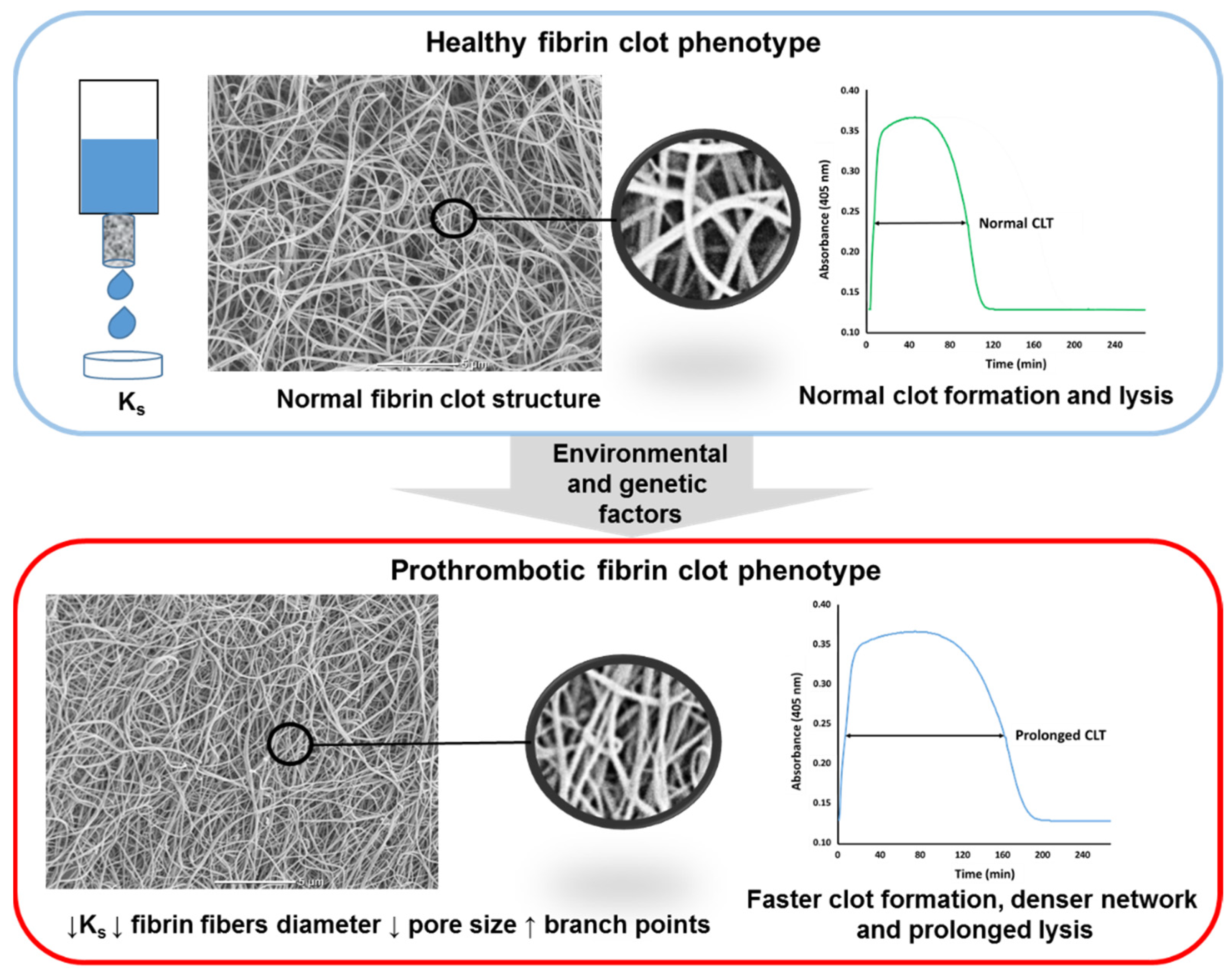Jcm 10 02999 g002 Jcm 10 02999 g002