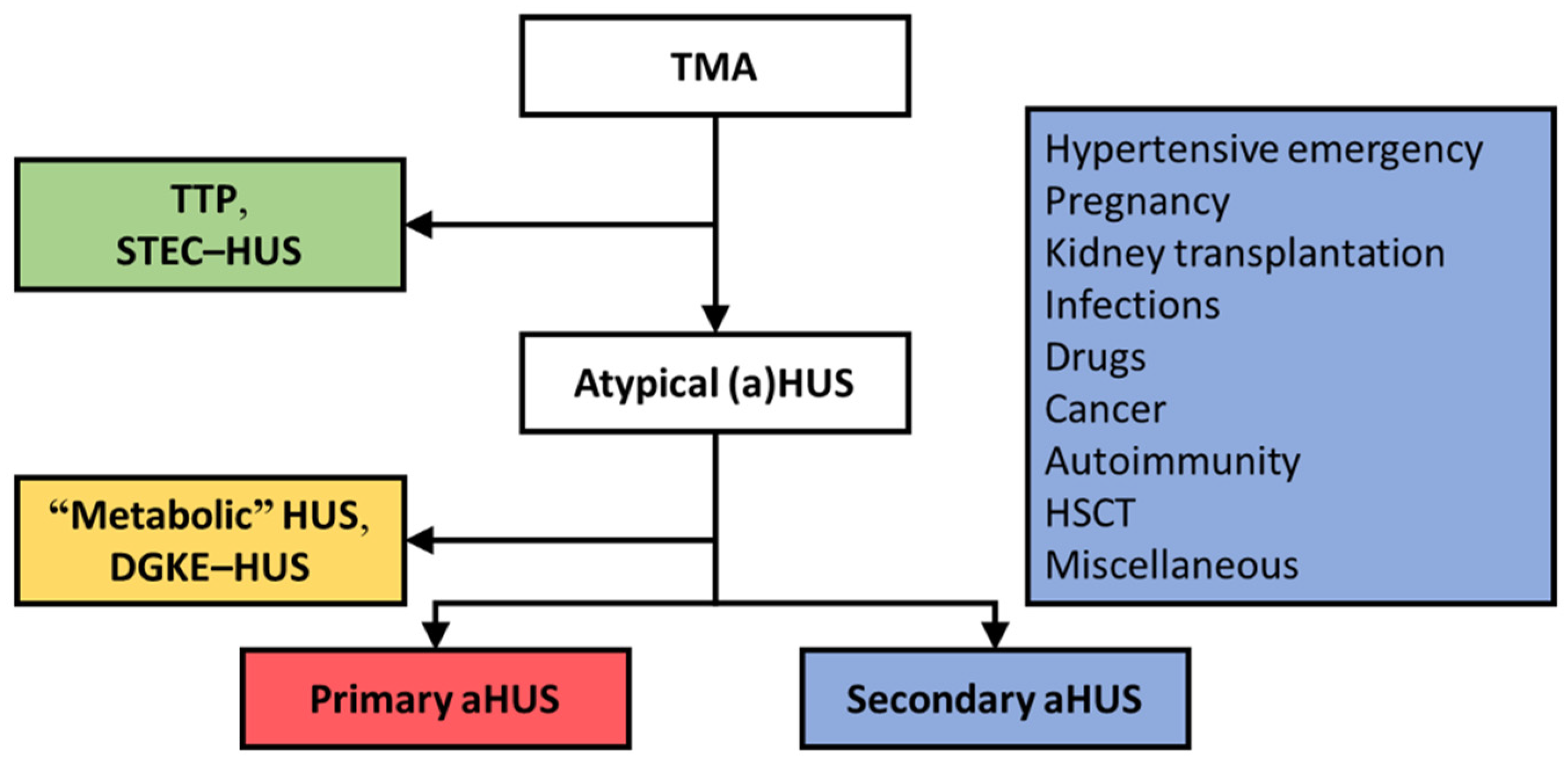 Jcm free full text the syndromes of thrombotic microangiopathy a