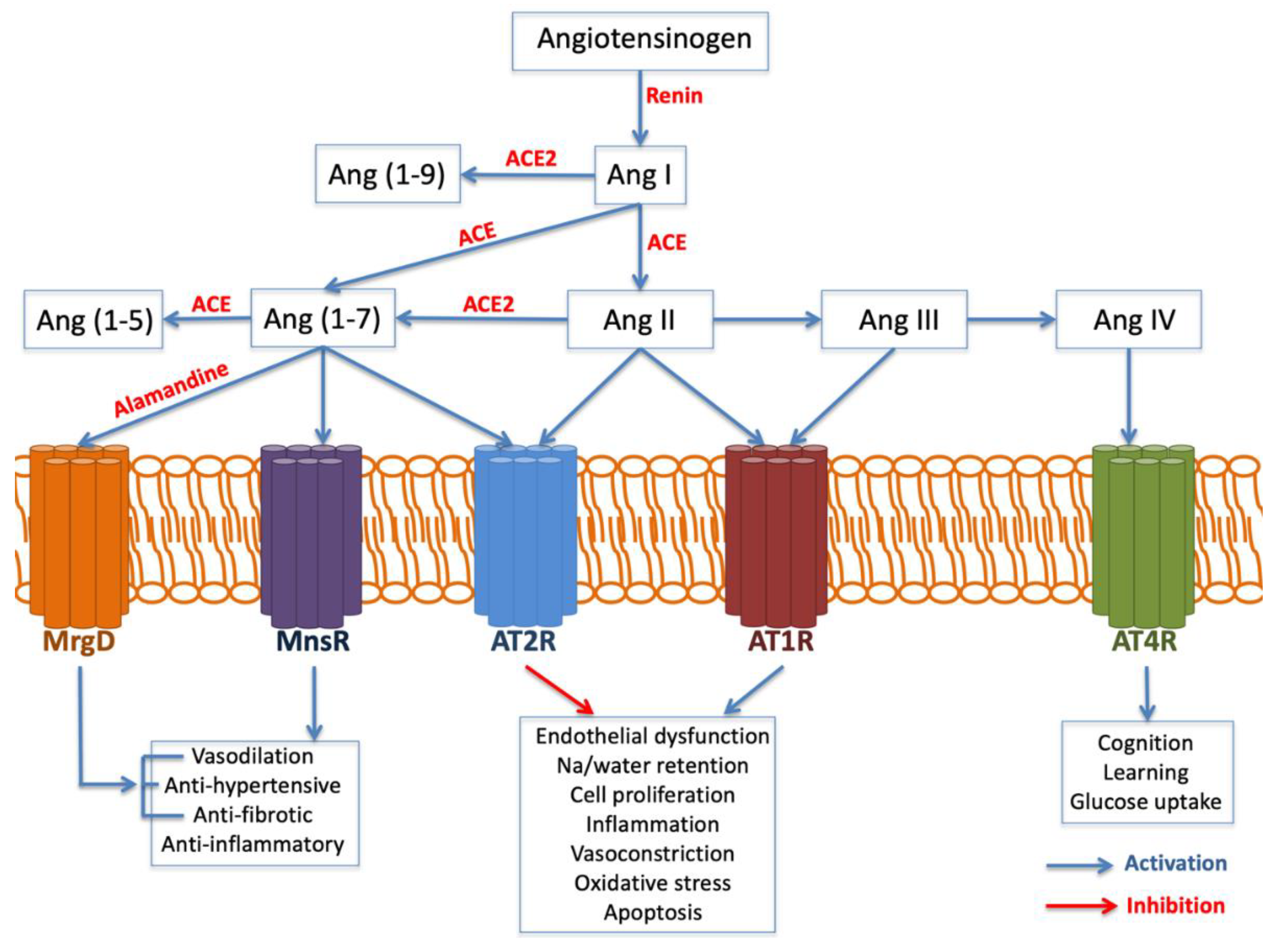 Jcm 10 03039 g003 Jcm 10 03039 g003