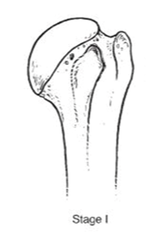 Jcm 10 03081 i001 Jcm 10 03081 i001