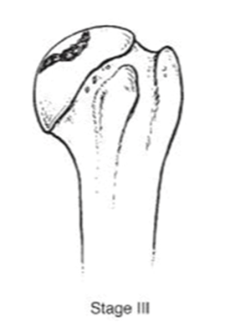 Jcm 10 03081 i003 Jcm 10 03081 i003