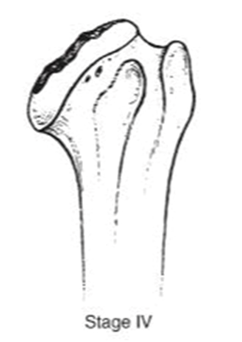 Jcm 10 03081 i004 Jcm 10 03081 i004