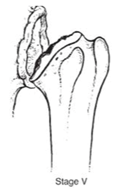 Jcm 10 03081 i005 Jcm 10 03081 i005