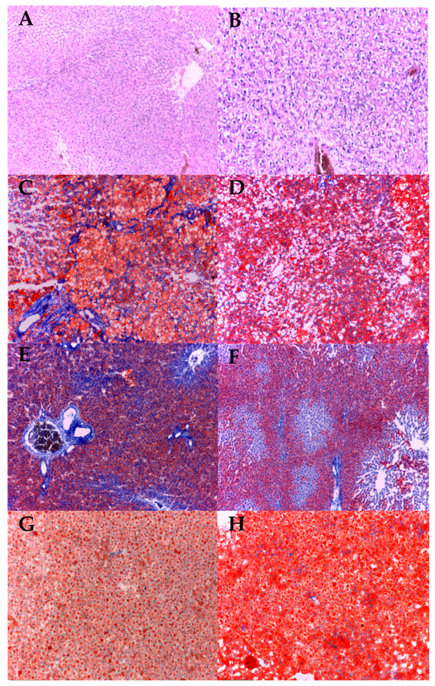 Jcm 10 03143 g006 Jcm 10 03143 g006