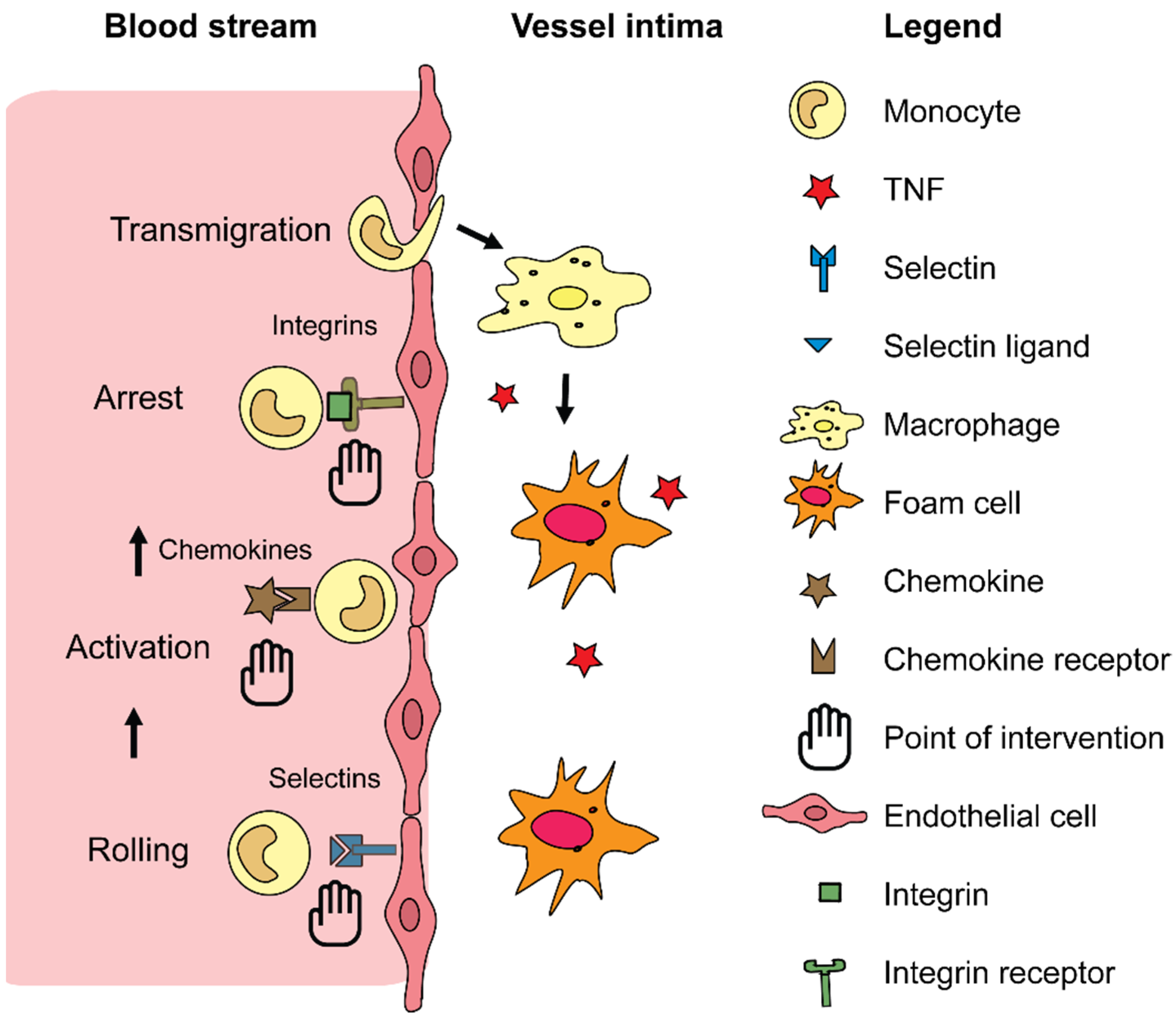 Jcm 10 03185 g002 550