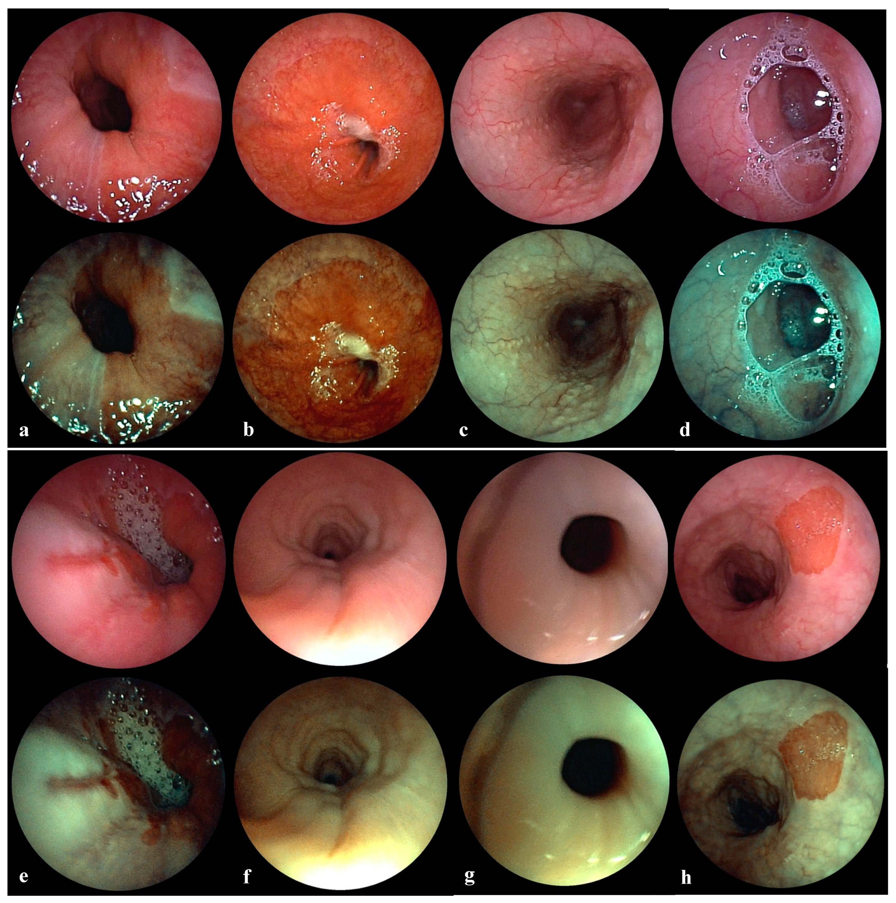 Jcm 10 03188 g001 550