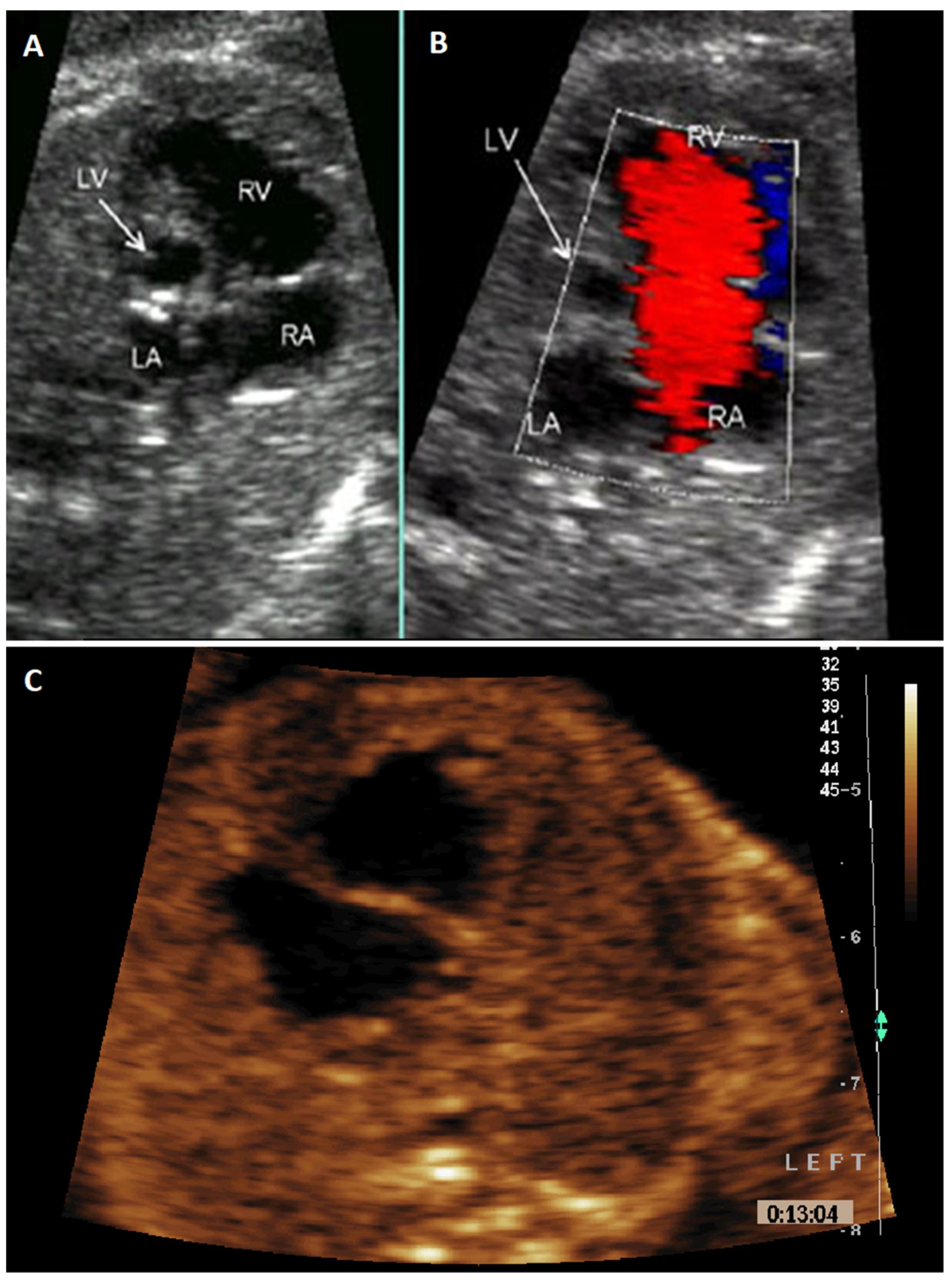 Jcm 10 03207 g002 550