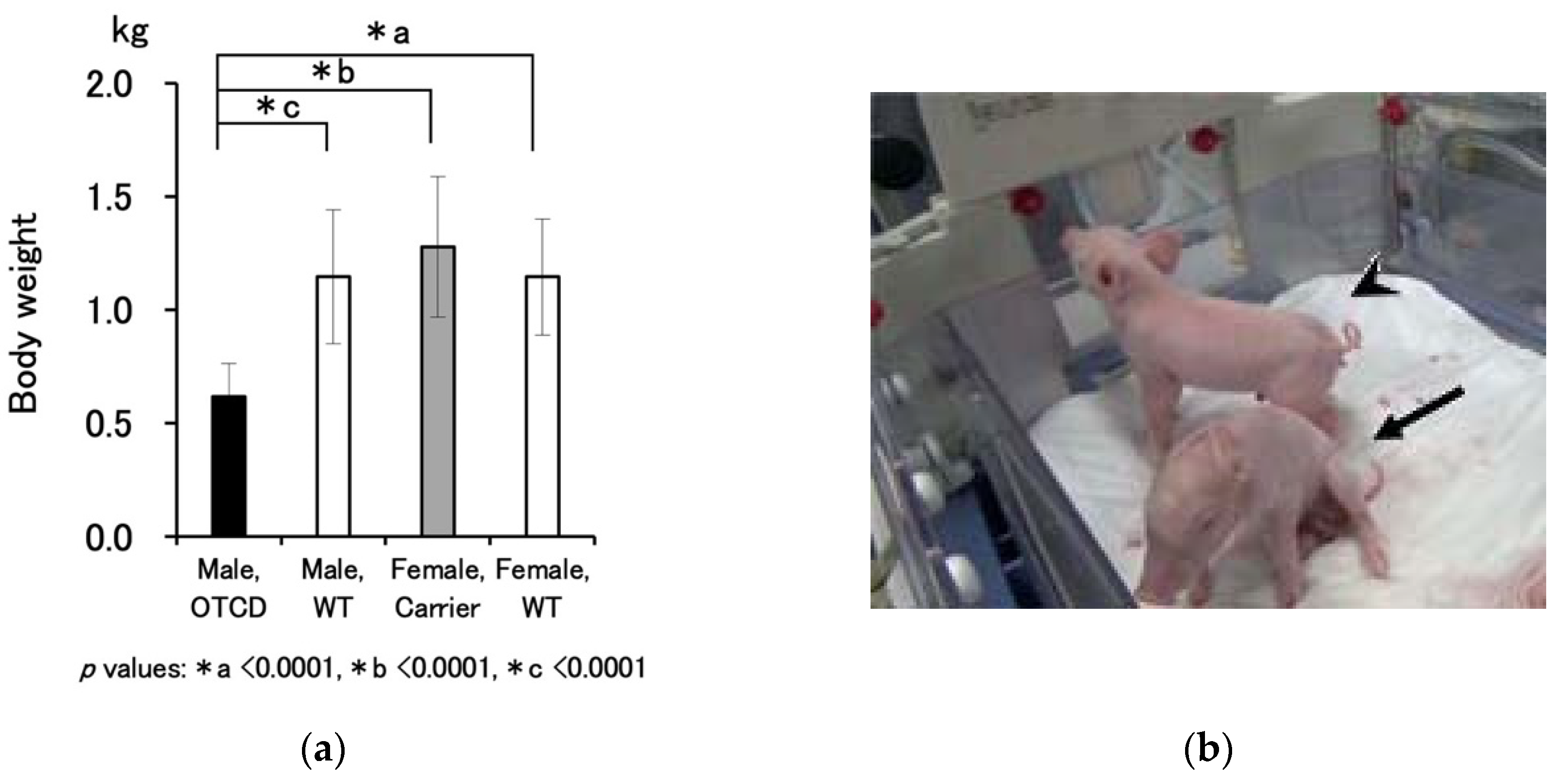 Jcm 10 03226 g002 550