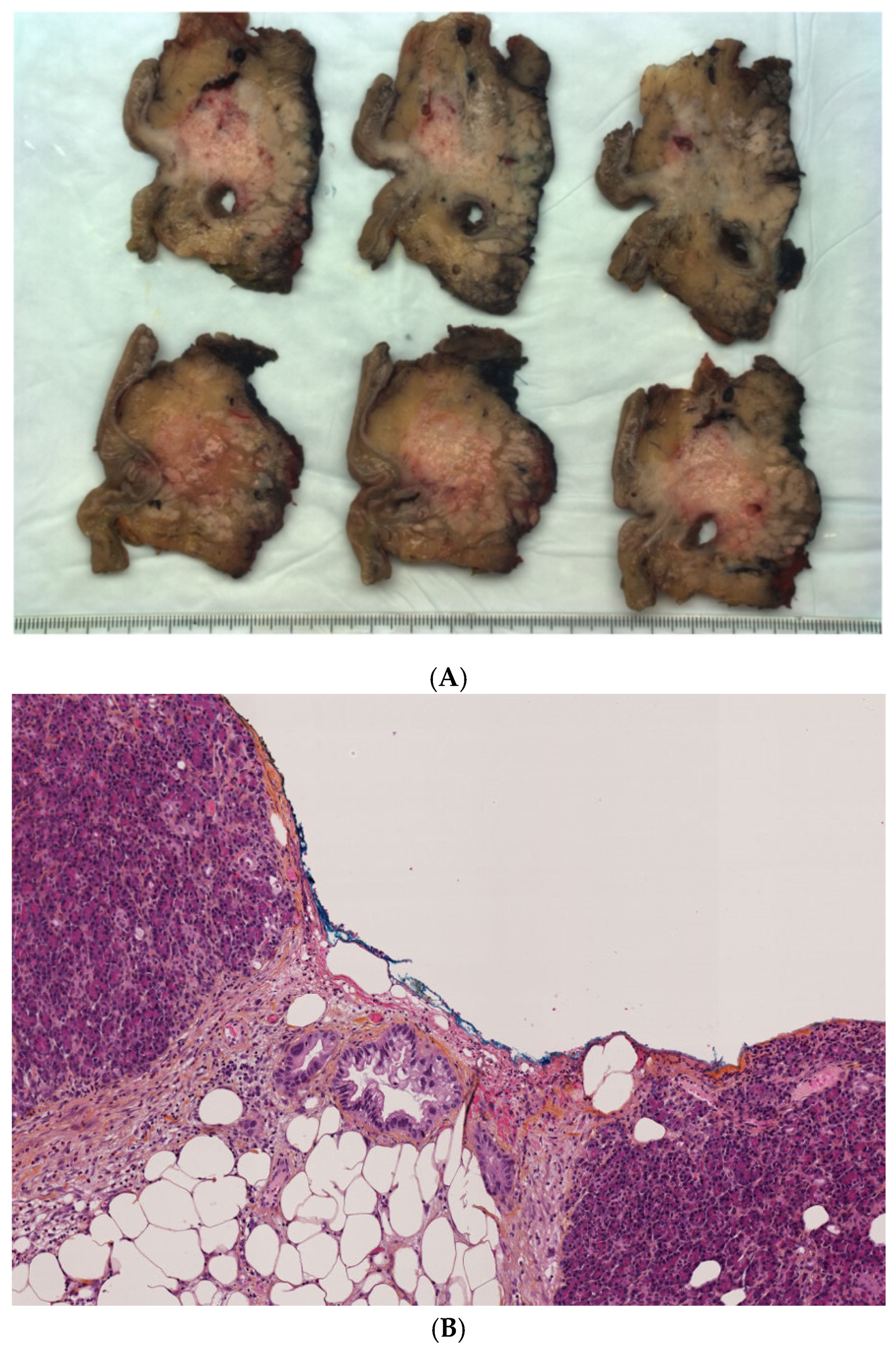 Jcm 10 03247 g002 550