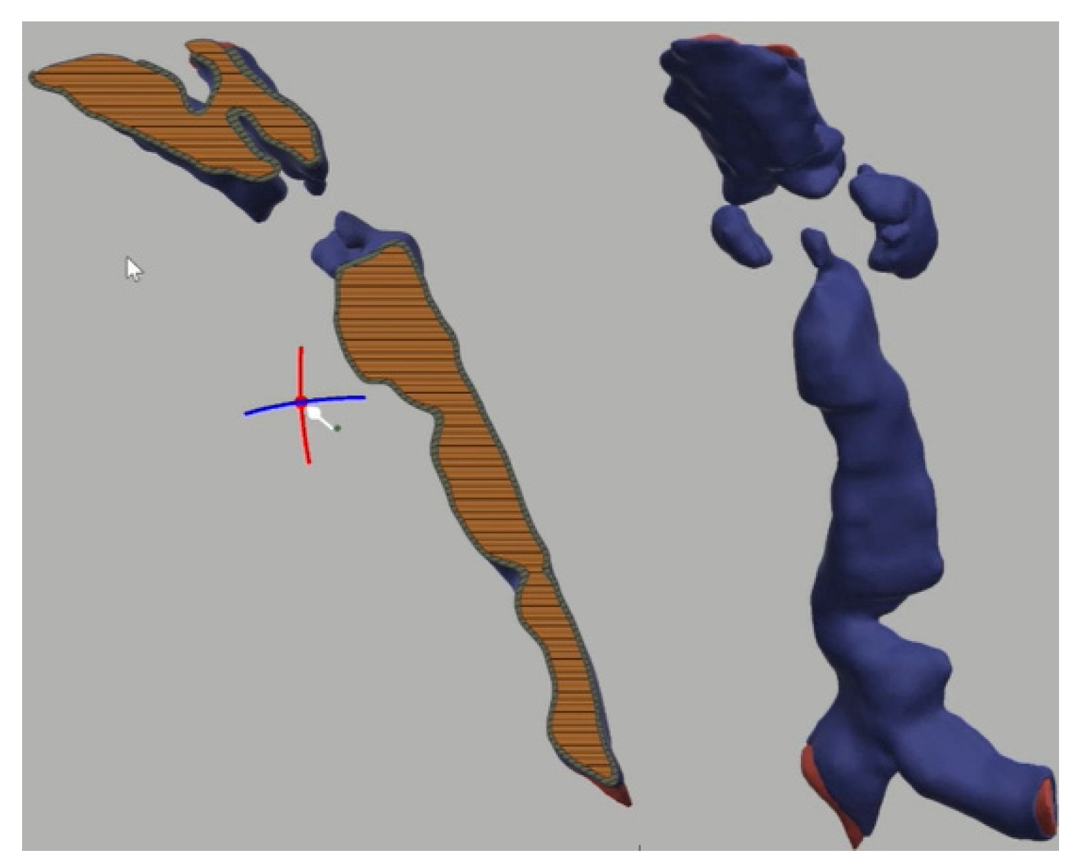 Jcm 10 03275 g012 550