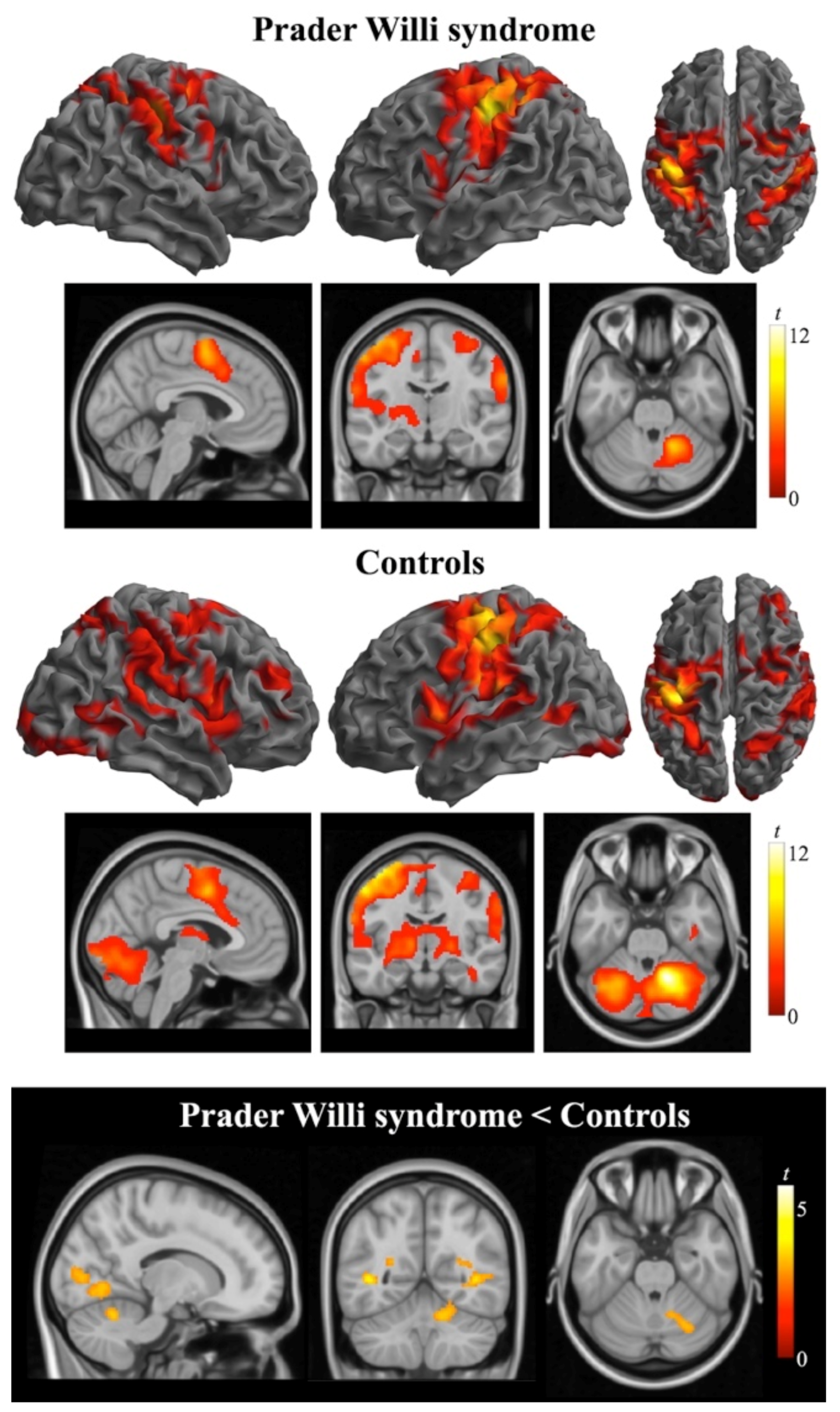 Jcm 10 03320 g003 Jcm 10 03320 g003
