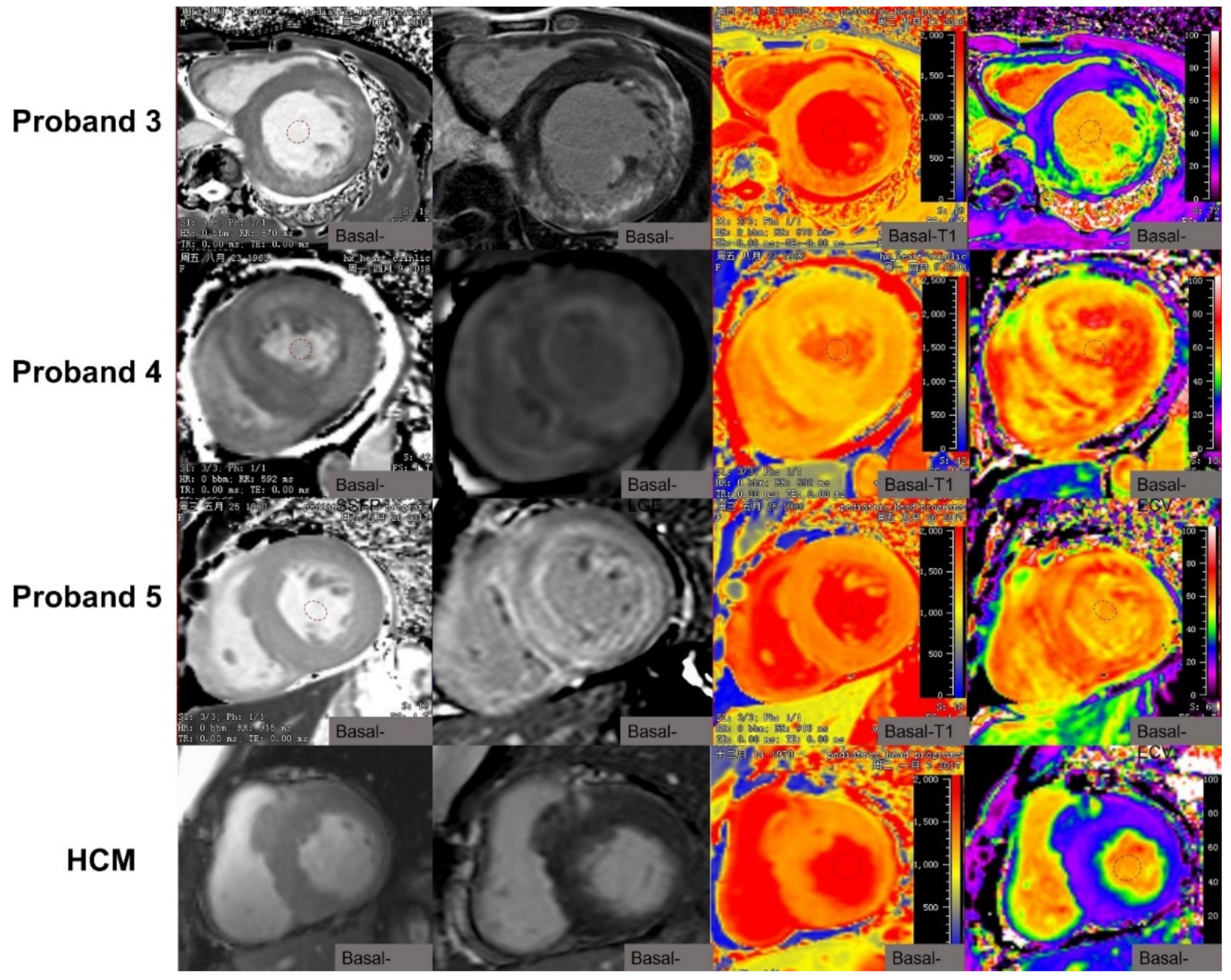 Jcm 10 03339 g003 Jcm 10 03339 g003