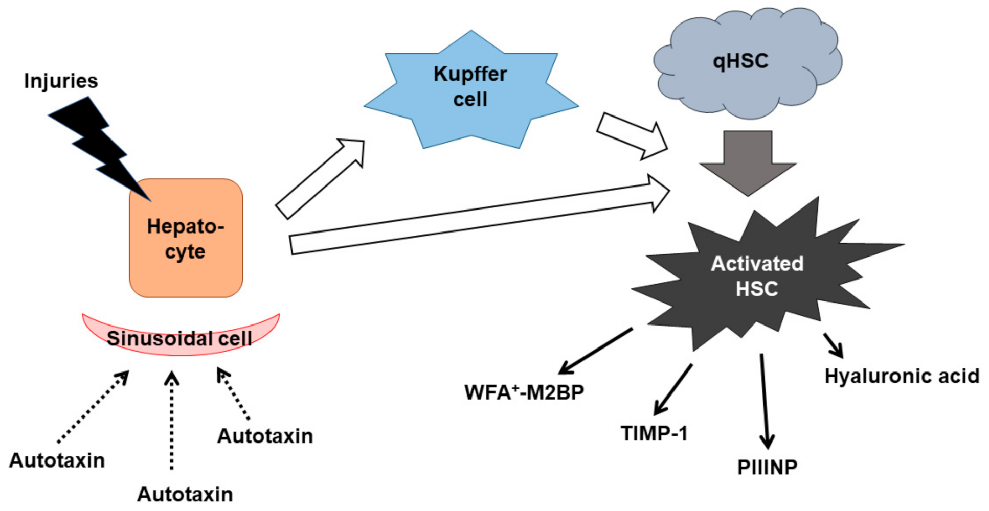 Jcm 10 03340 g002 Jcm 10 03340 g002