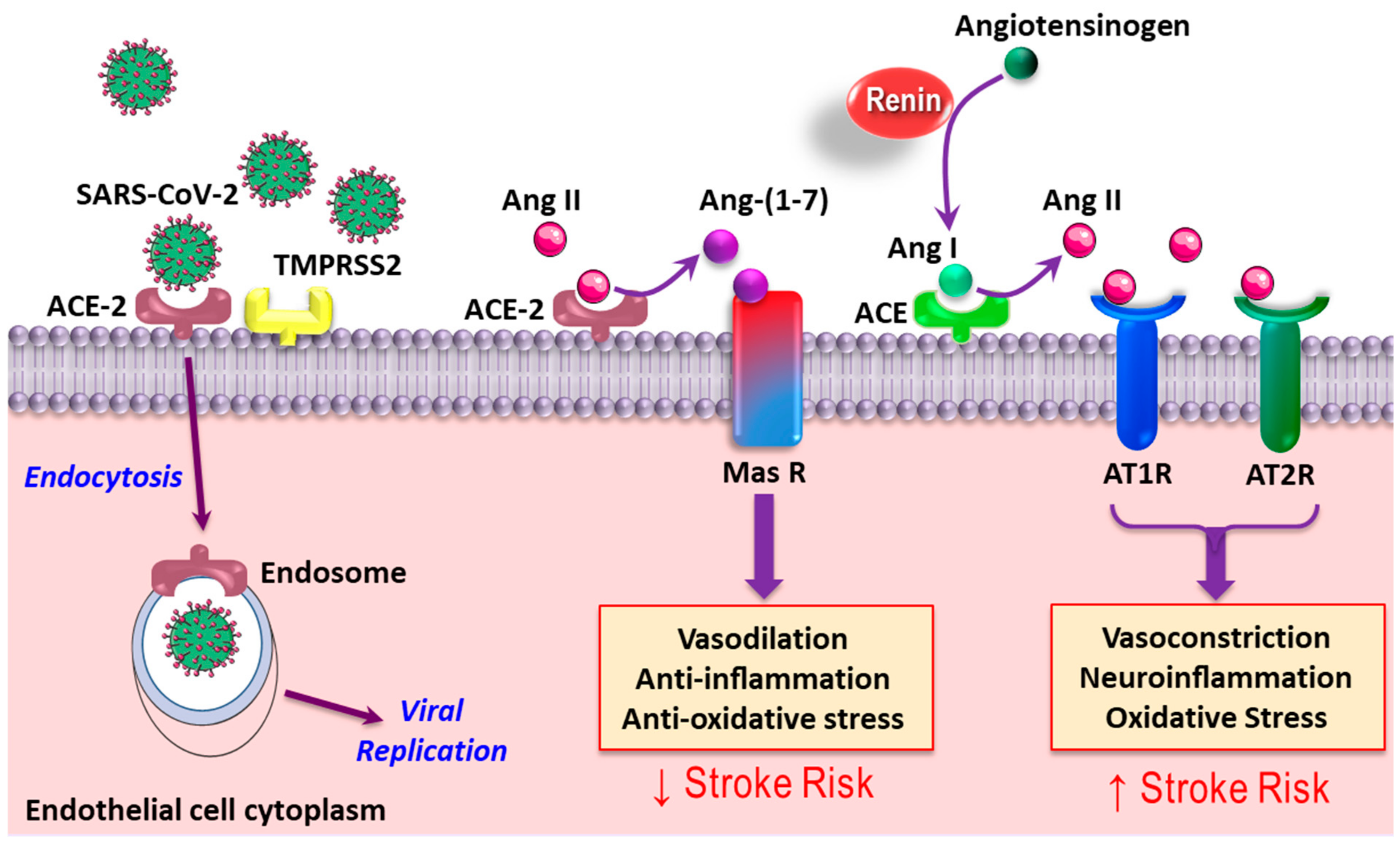 Protein Expression Platforms and the Challenges of Viral