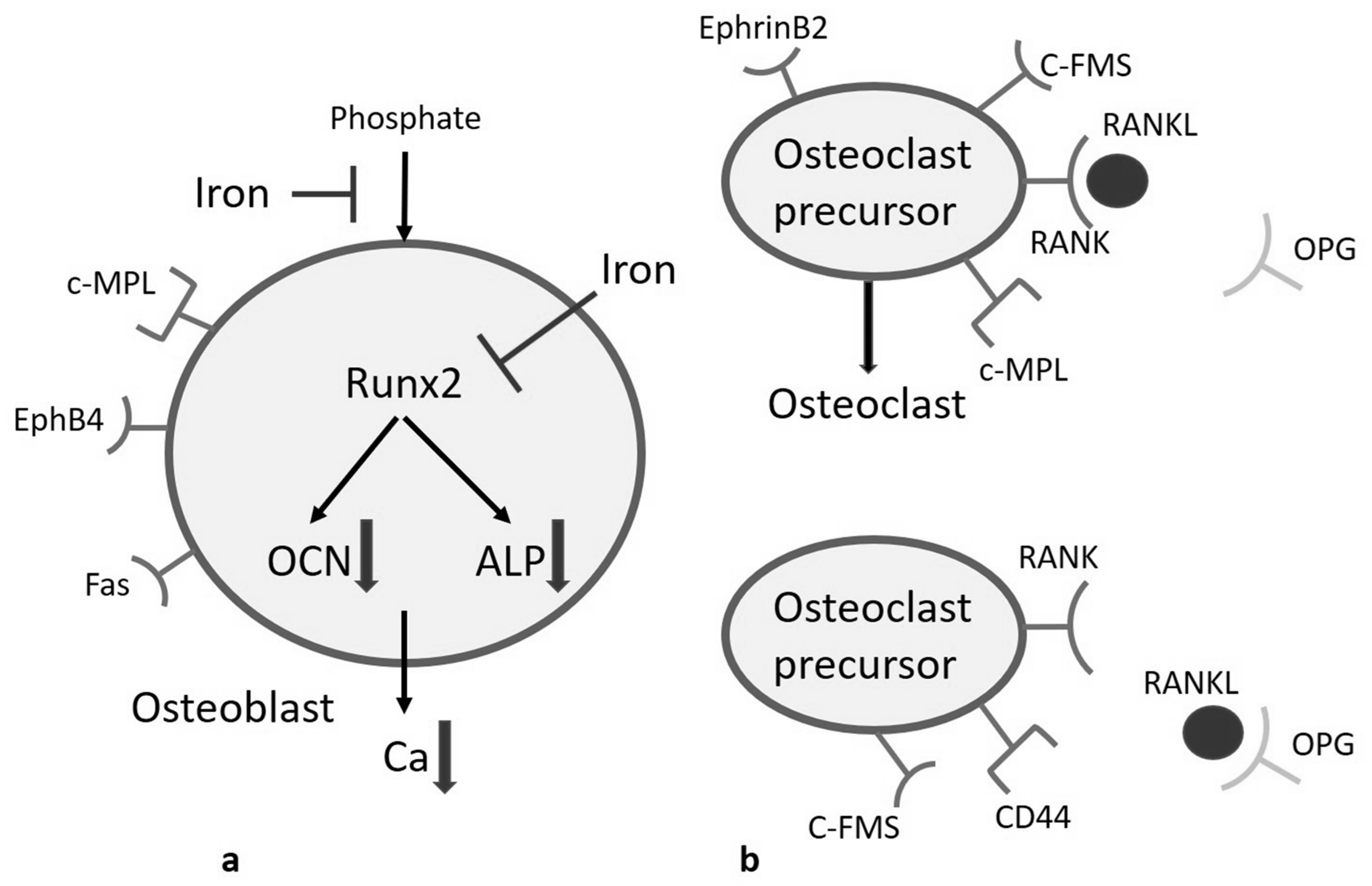 Jcm 10 03364 g003 550