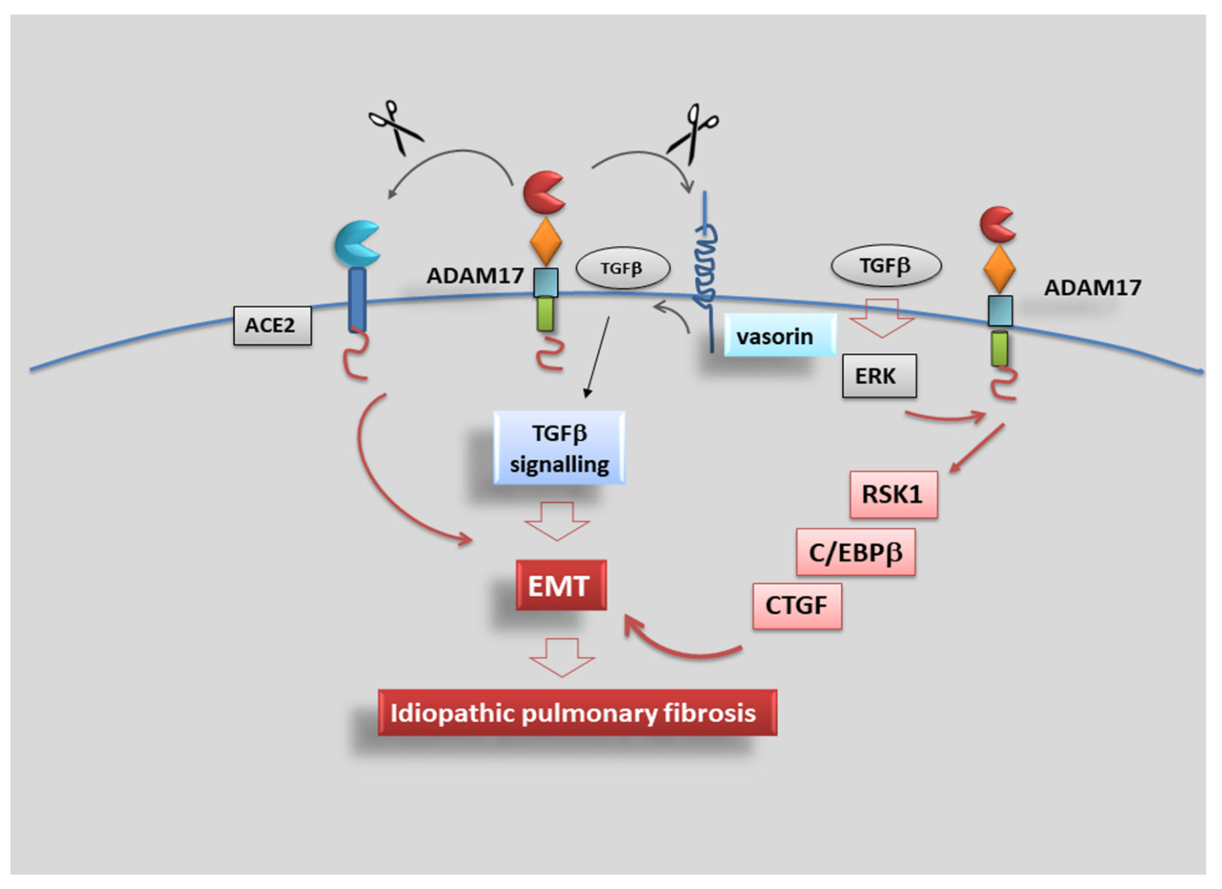 Jcm 10 03373 g005 Jcm 10 03373 g005
