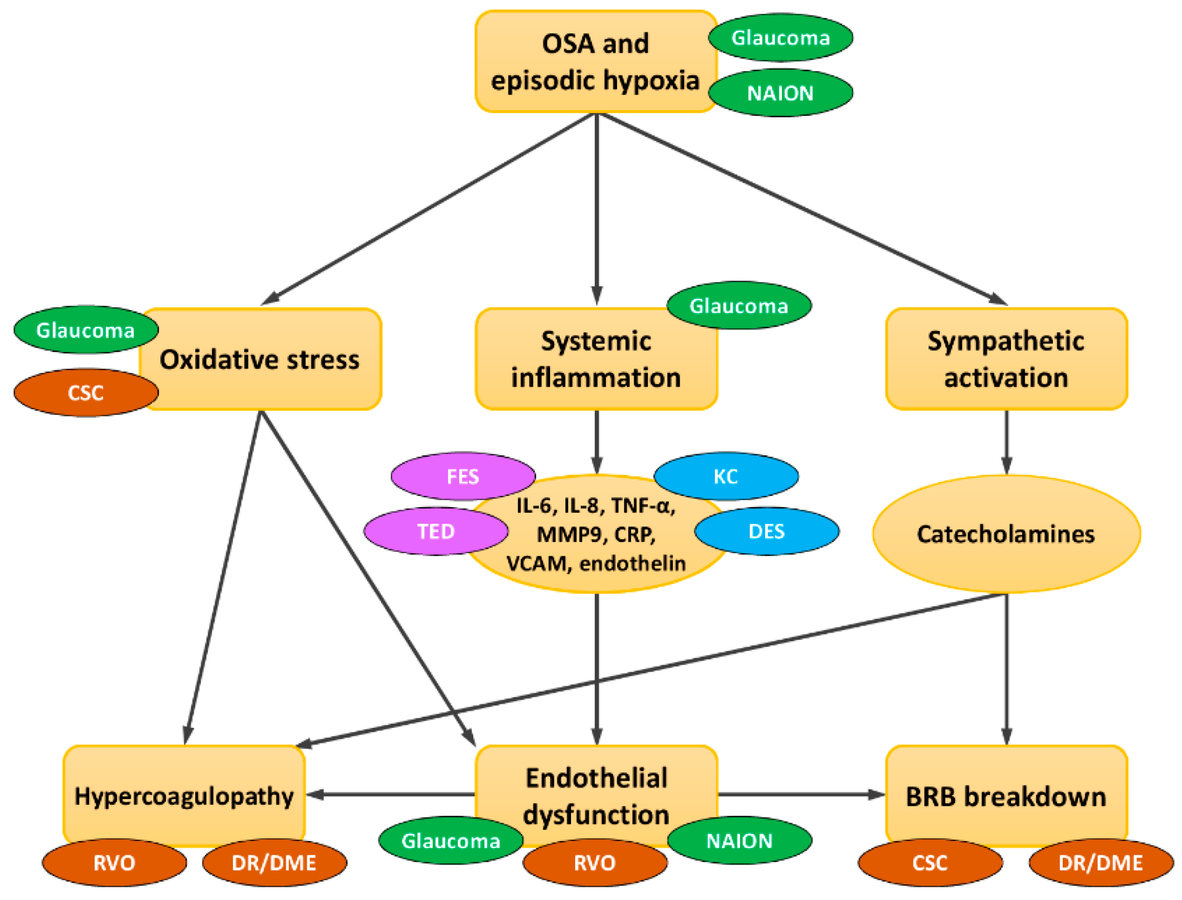 Jcm 10 03422 g001 Jcm 10 03422 g001