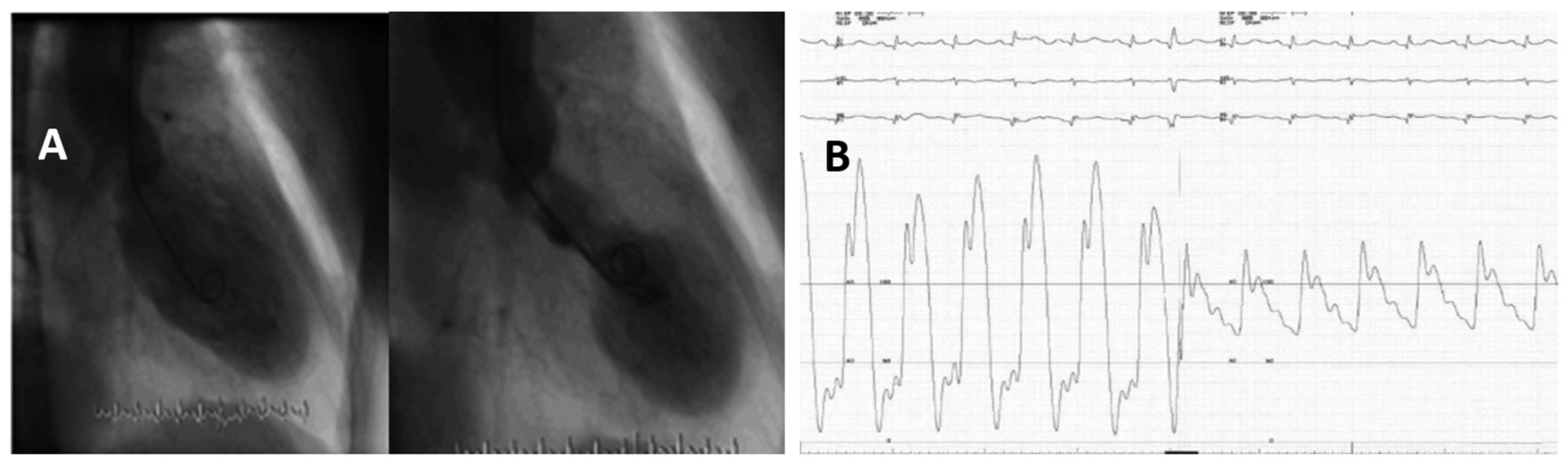 Jcm 10 03440 g007 550