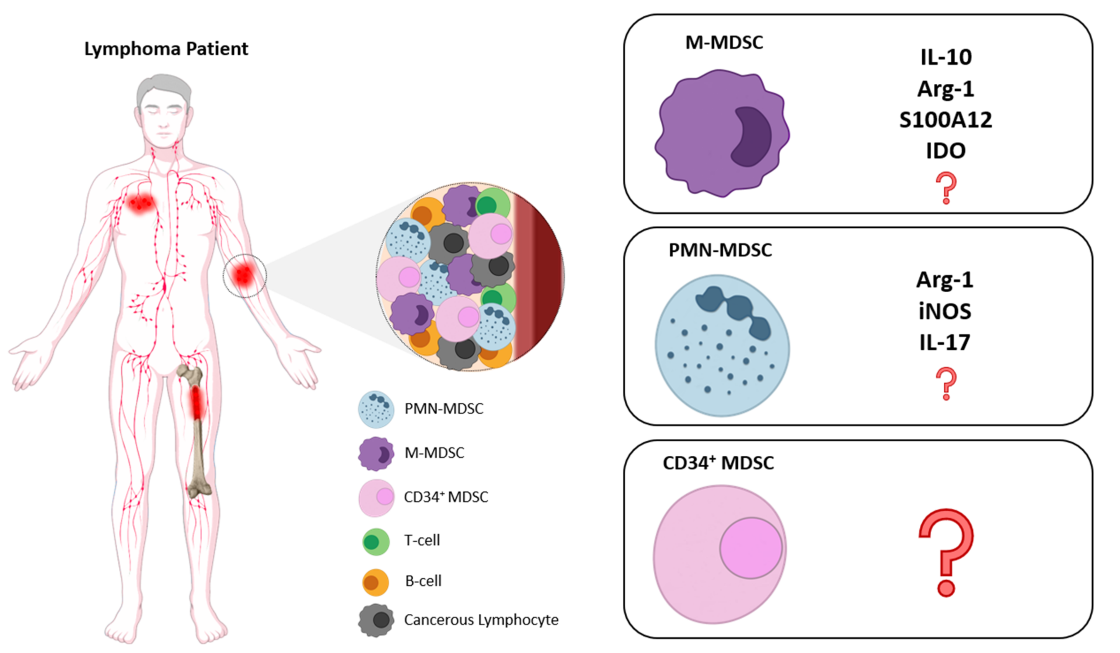 Jcm 10 03462 g001 Jcm 10 03462 g001