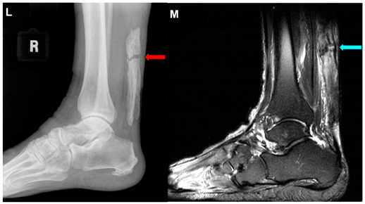 Jcm 10 03480 i006 Jcm 10 03480 i006