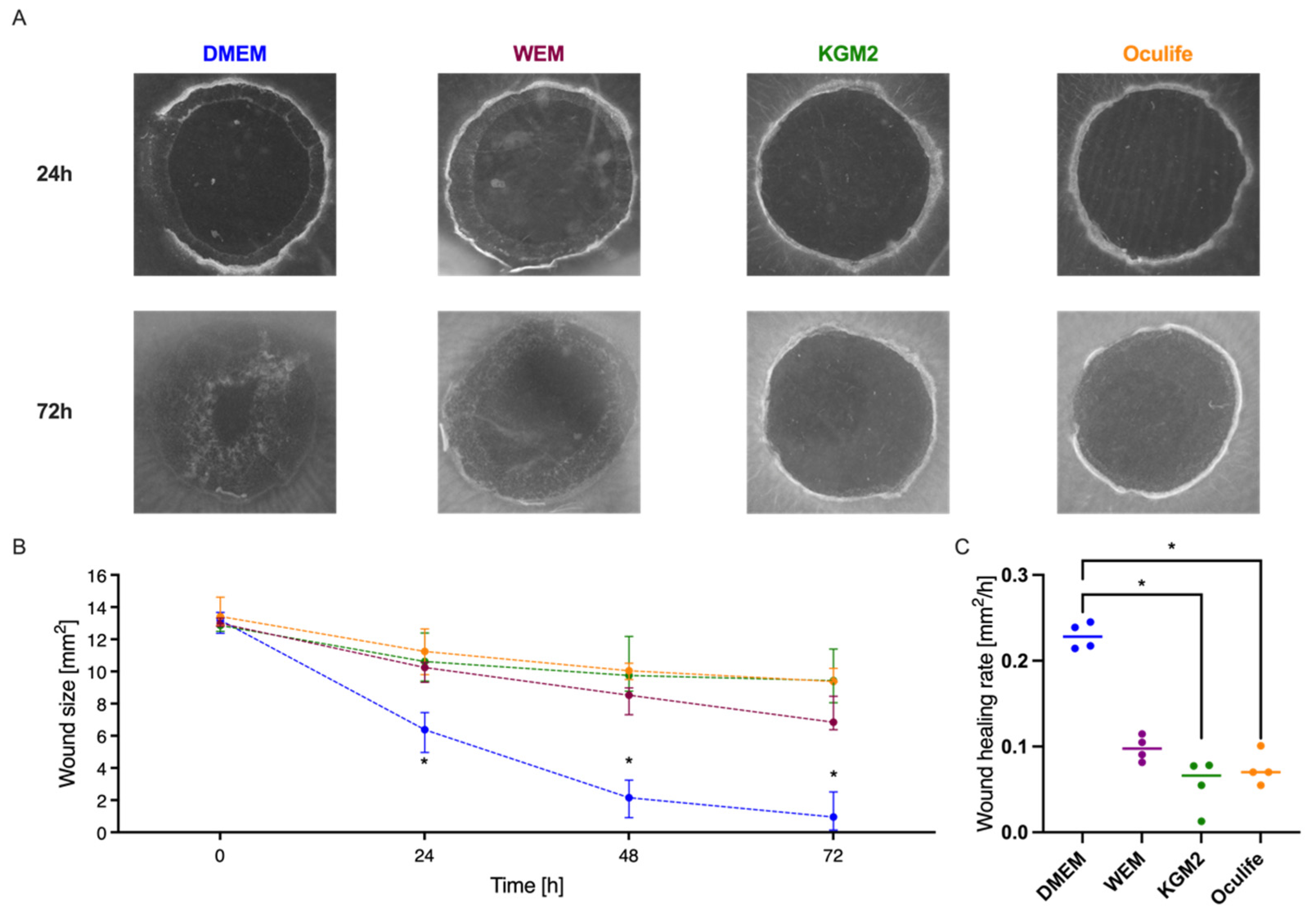 Jcm 10 03486 g006 Jcm 10 03486 g006