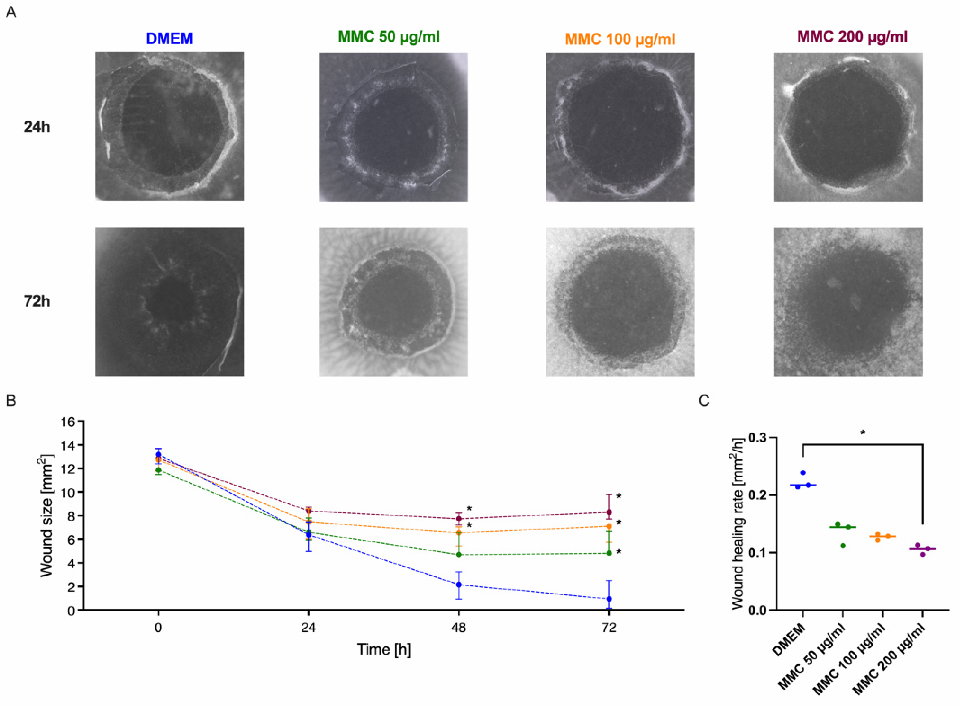 Jcm 10 03486 g007 Jcm 10 03486 g007