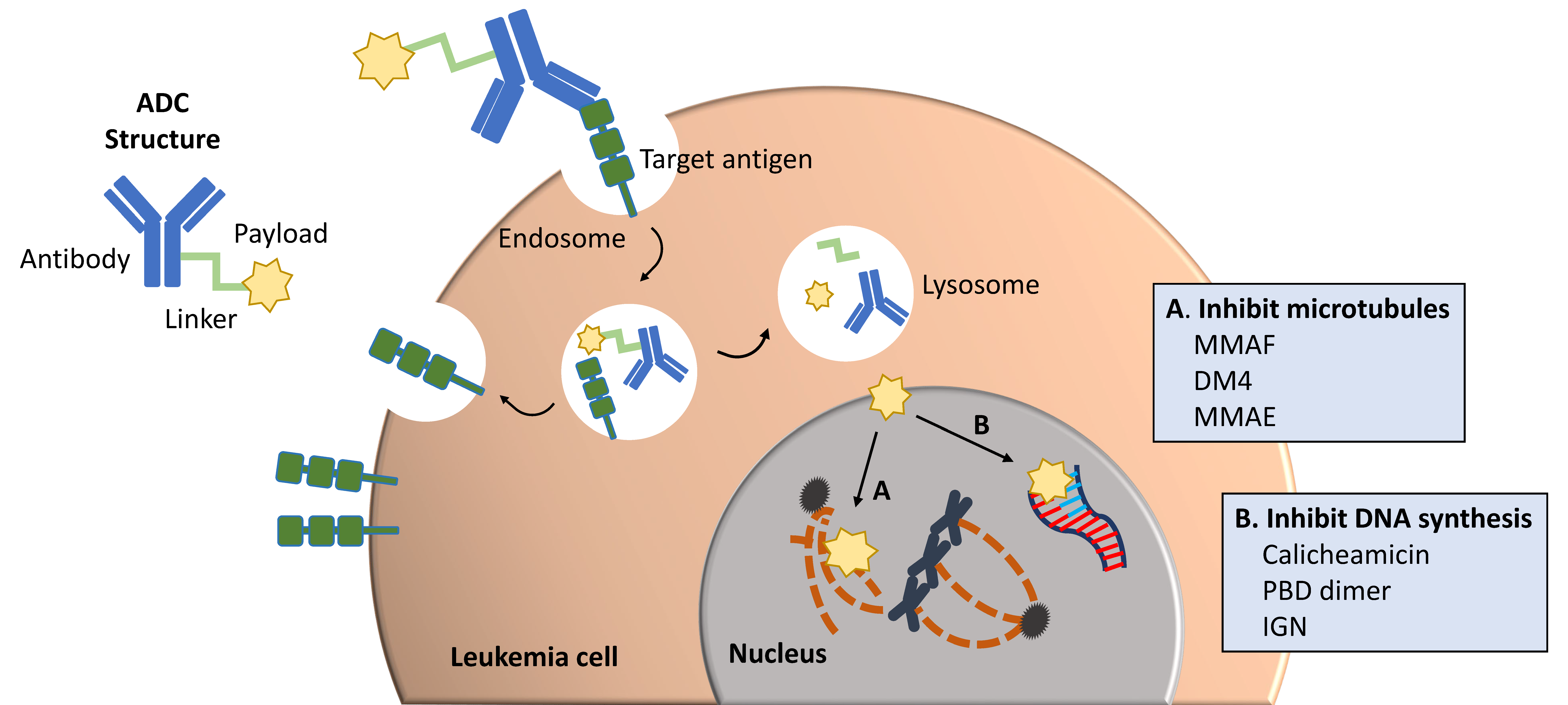 Jcm 10 03556 g001 Jcm 10 03556 g001