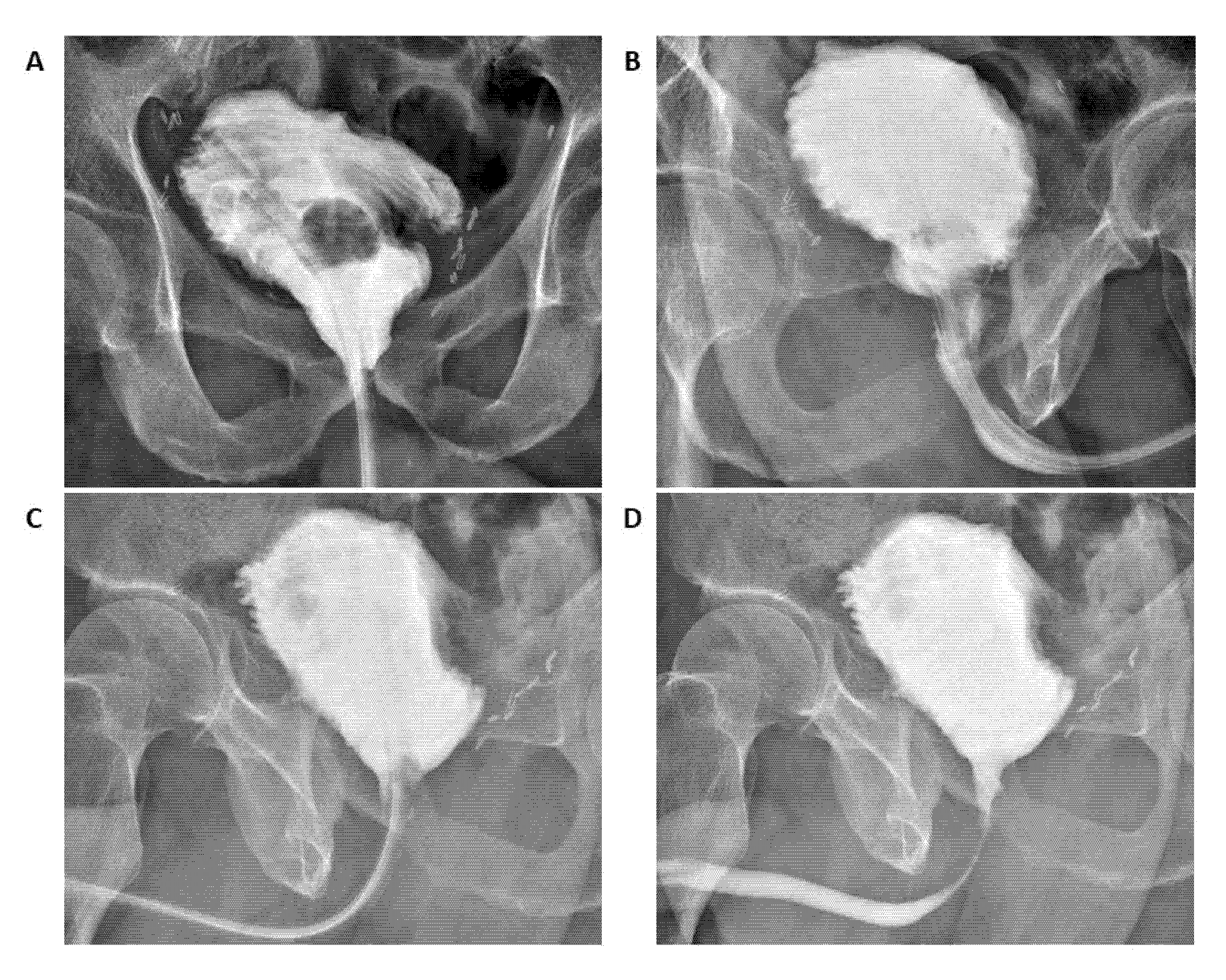 Jcm 10 03601 g005 Jcm 10 03601 g005