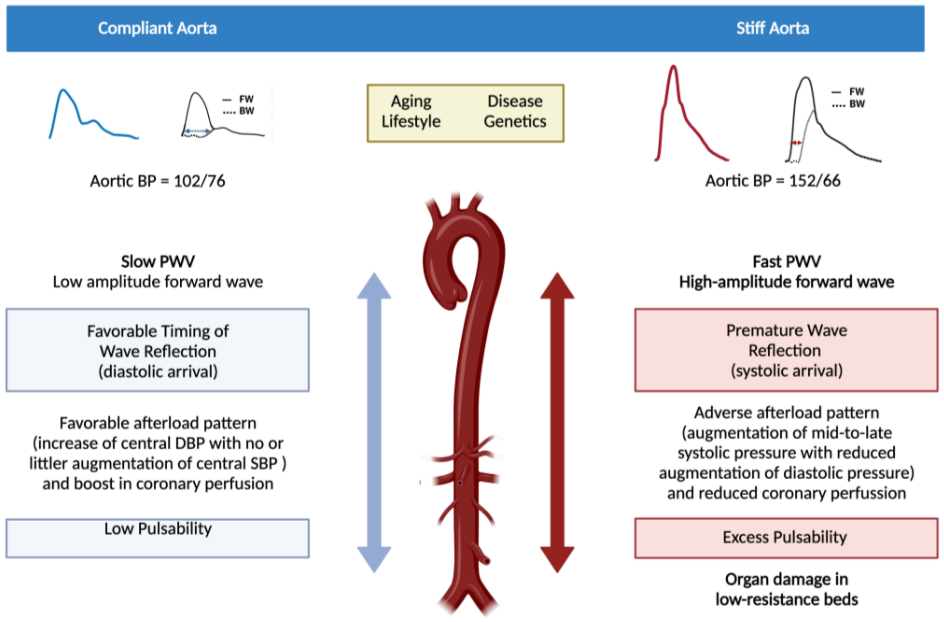 Jcm 10 03616 g001 Jcm 10 03616 g001