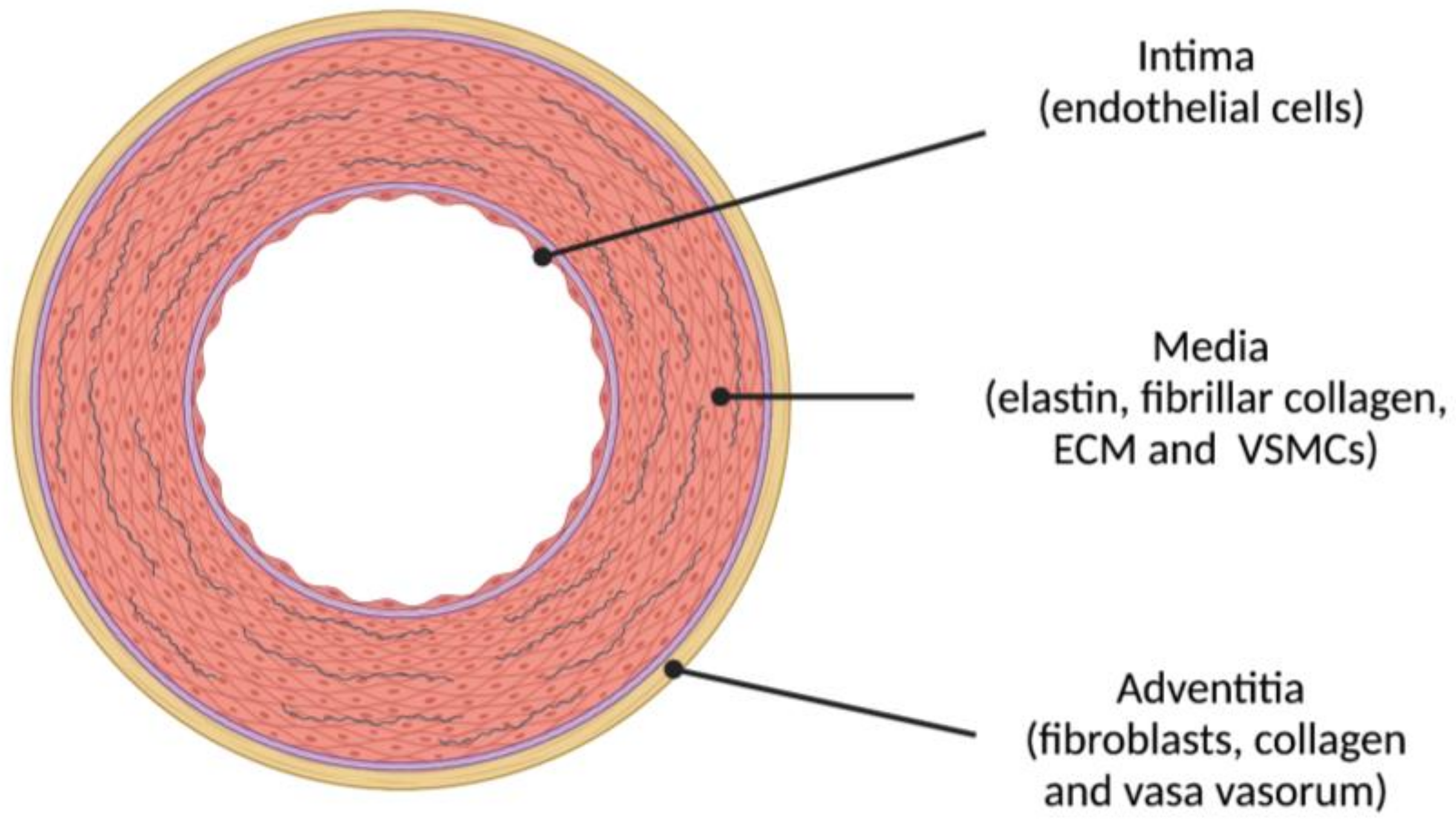 Jcm 10 03616 g003 Jcm 10 03616 g003