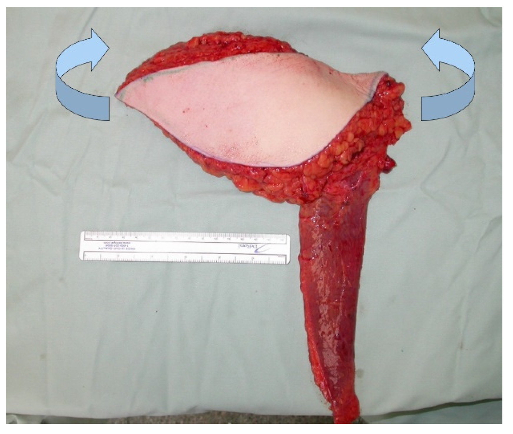 Jcm 10 03629 g009 550