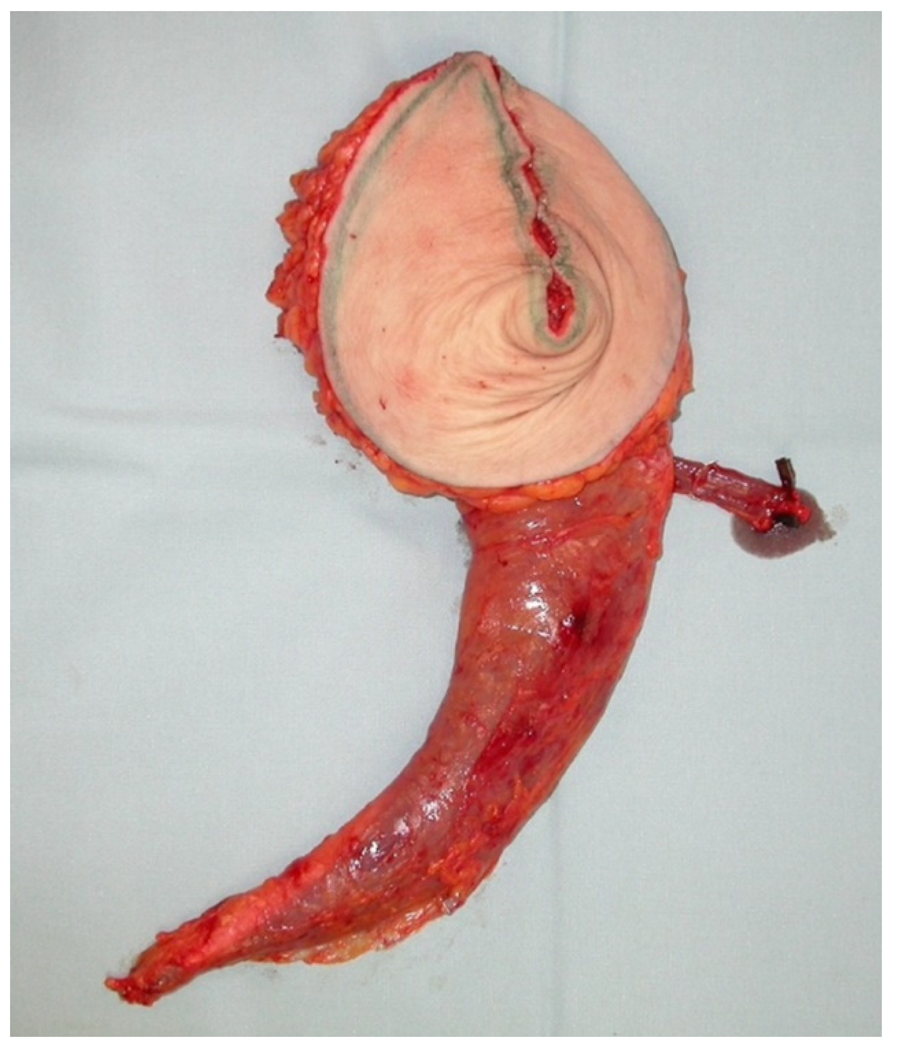 Jcm 10 03629 g010 550