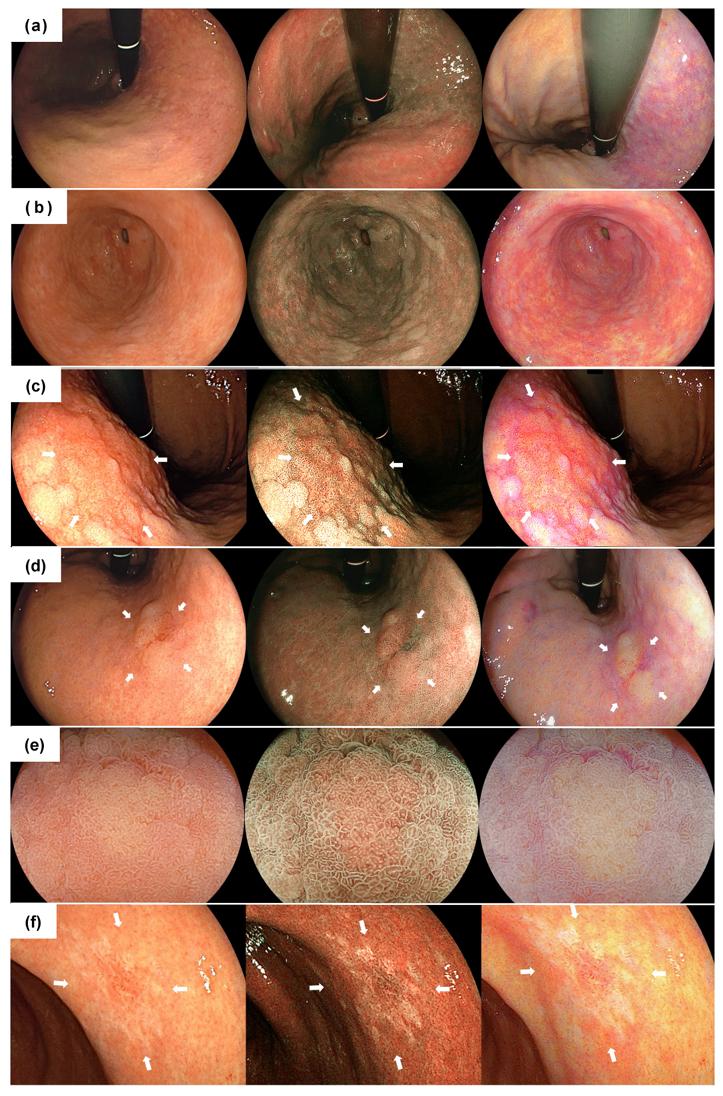 Jcm 10 03649 g001 550